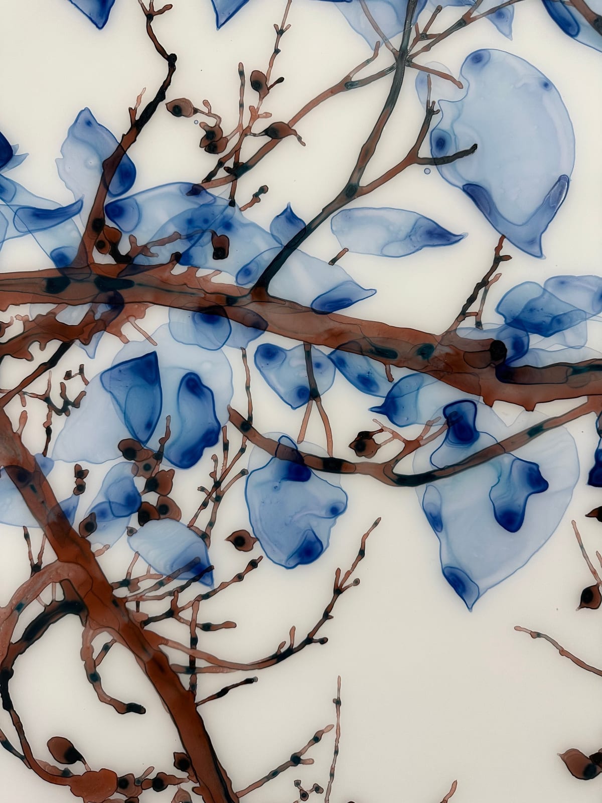 Jackie Battenfield, Unclouded cs1, 2022