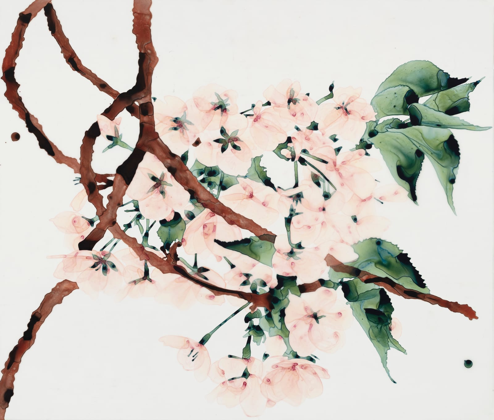 Jackie Battenfield, First Blush, 2023
