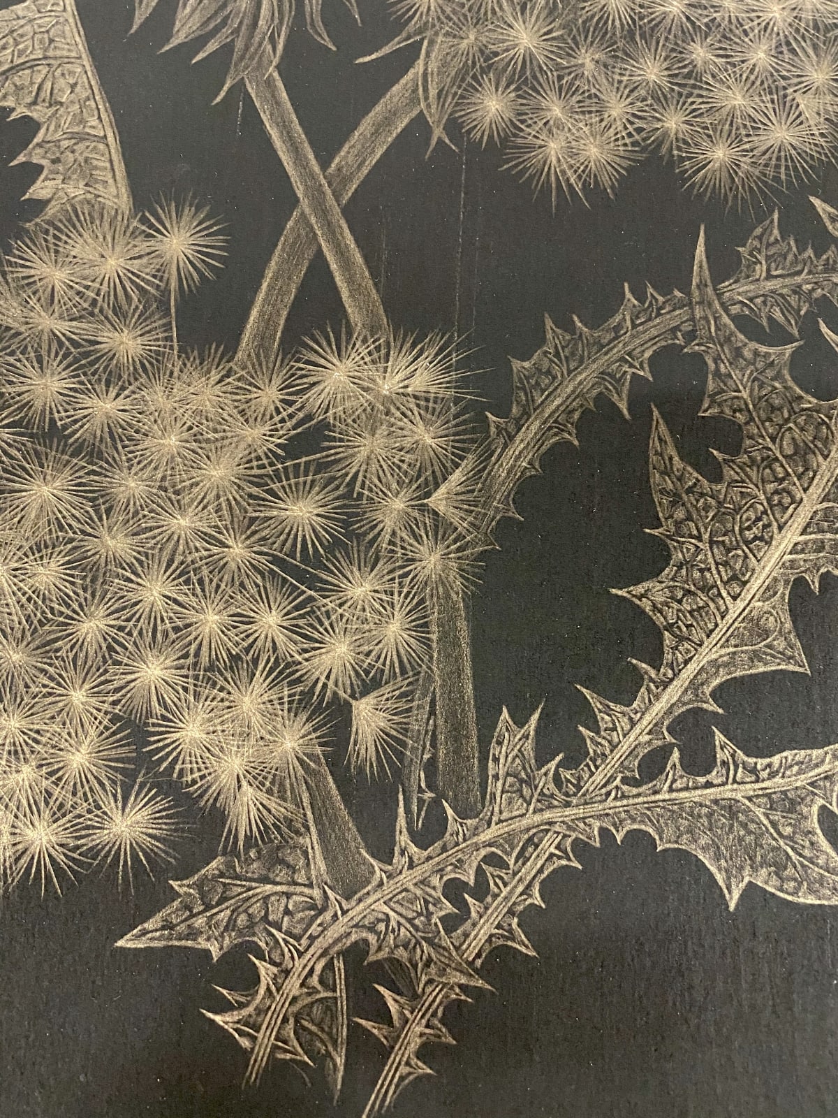 Margot Glass, Dandelion with Bud, 2018