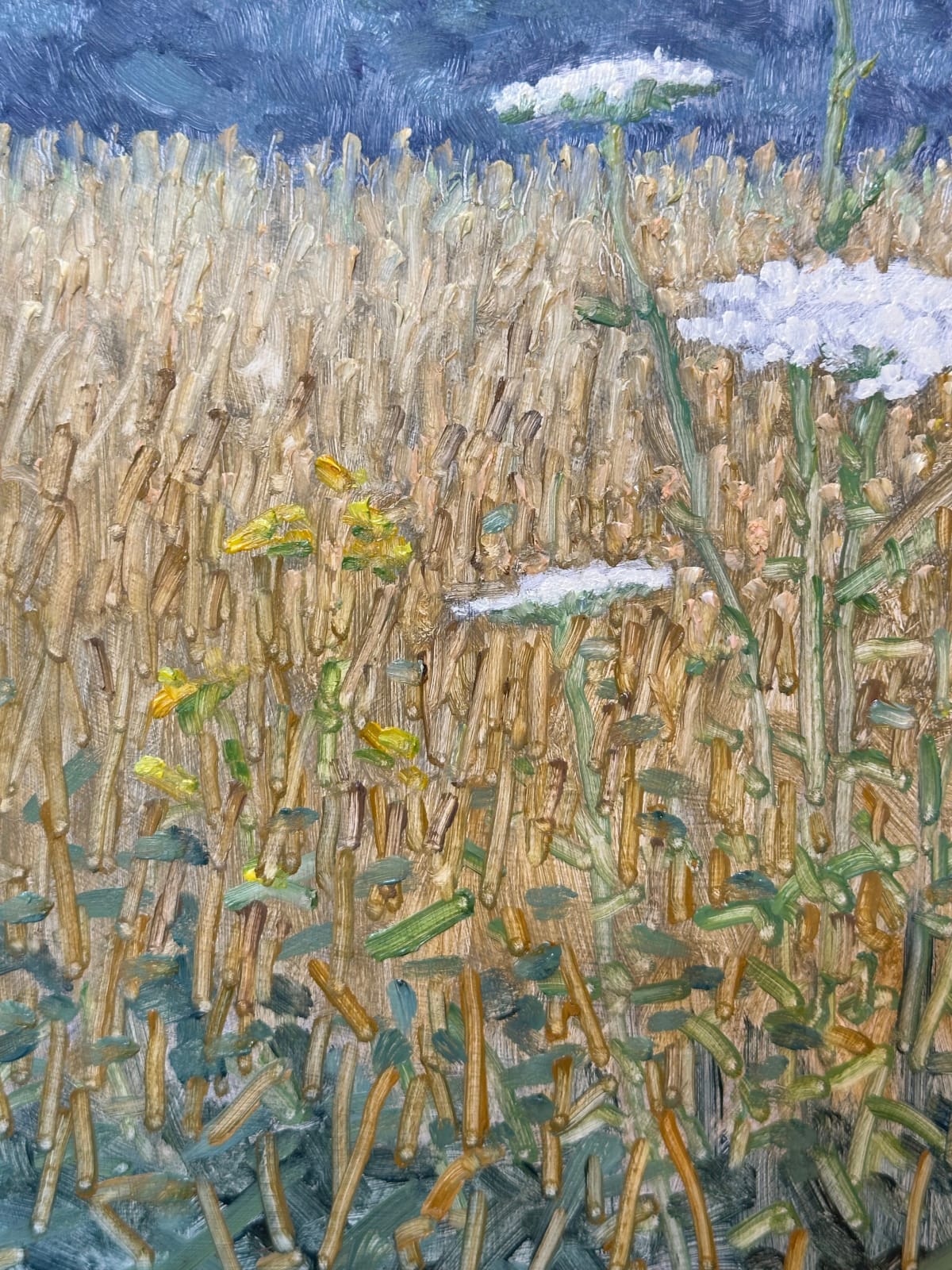 Thomas Sarrantonio, Field Painting July 15, 2024