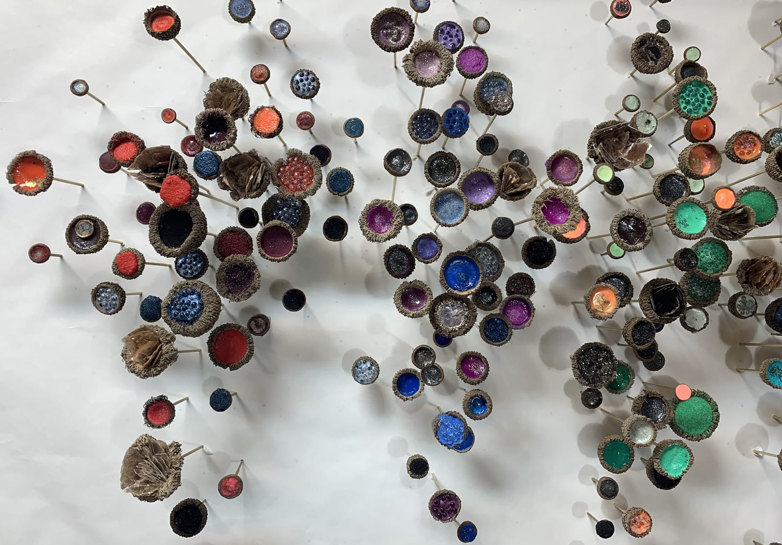 Julie Maren, Botanica 3, 2019