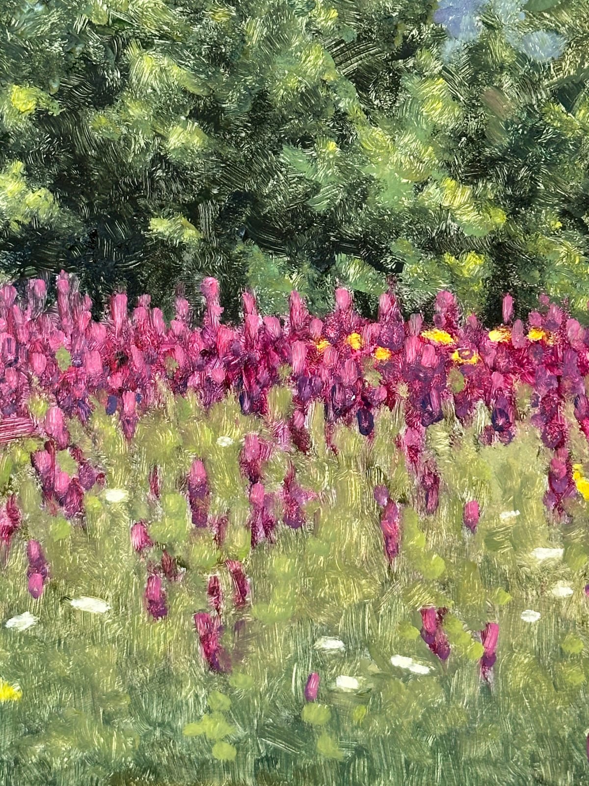 Thomas Sarrantonio, Field Painting August 21, 2023