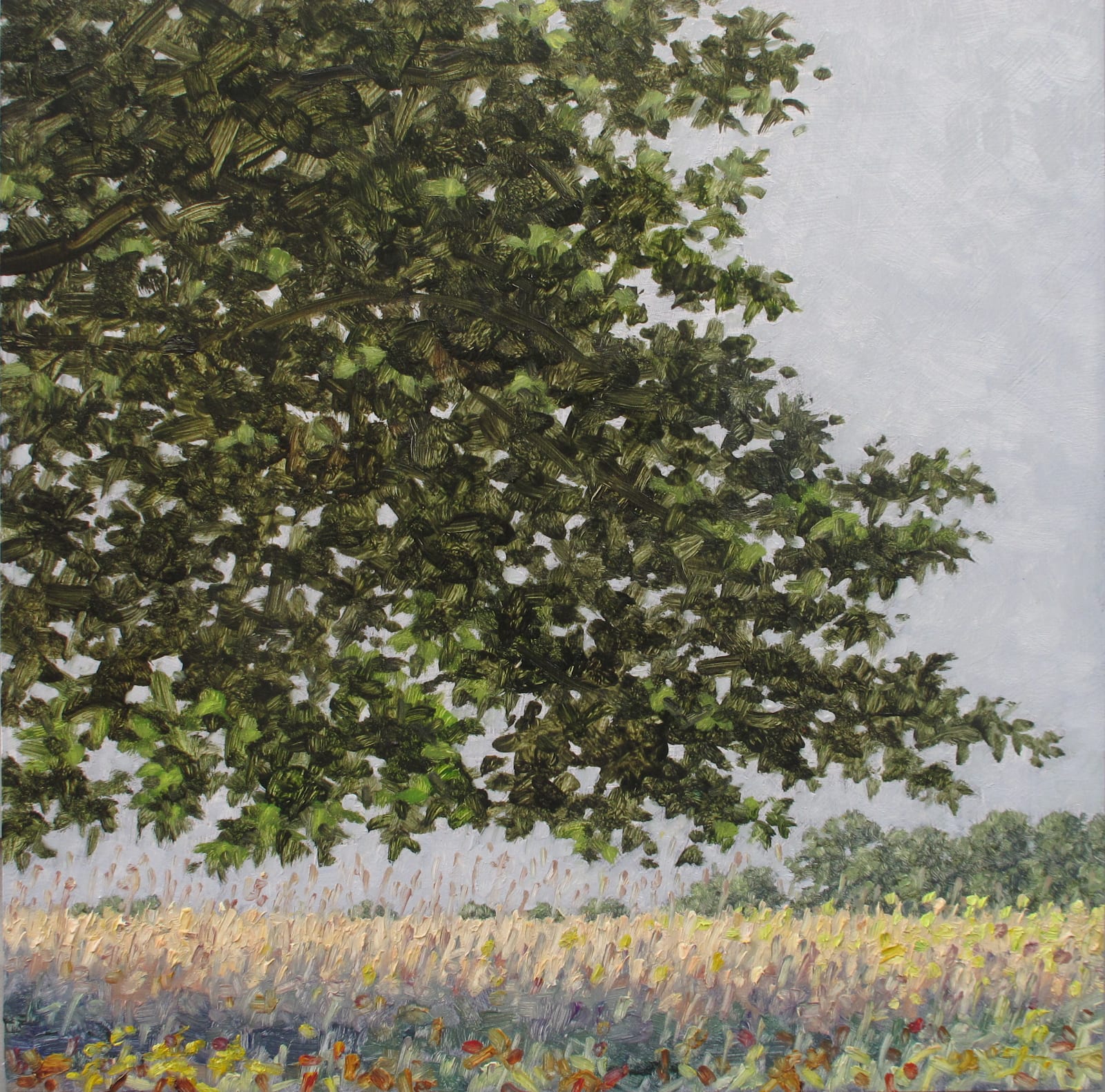 Thomas Sarrantonio, Field Study September 18, 2020