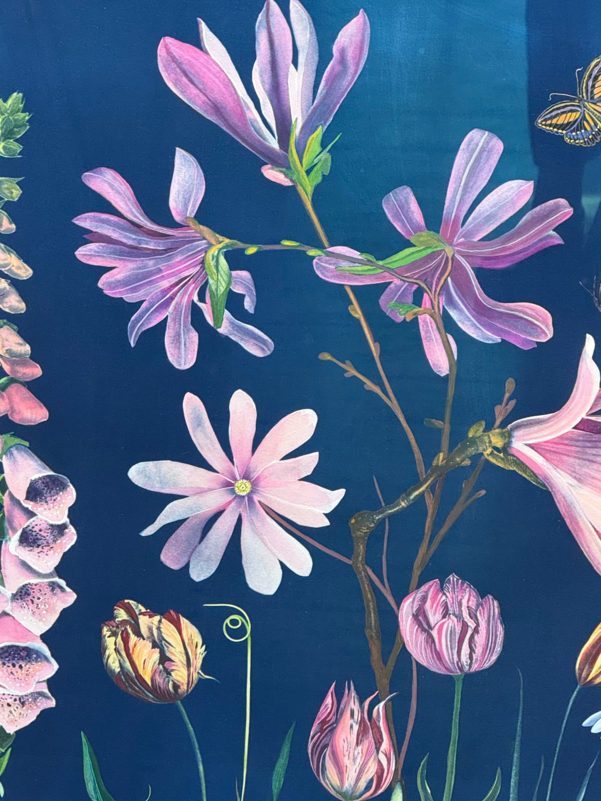 Julia Whitney Barnes, Picturesque Botany (Tulip, Magnolia, Dogwood, Foxglove, Crocus, Pollinators, etc.), 2025
