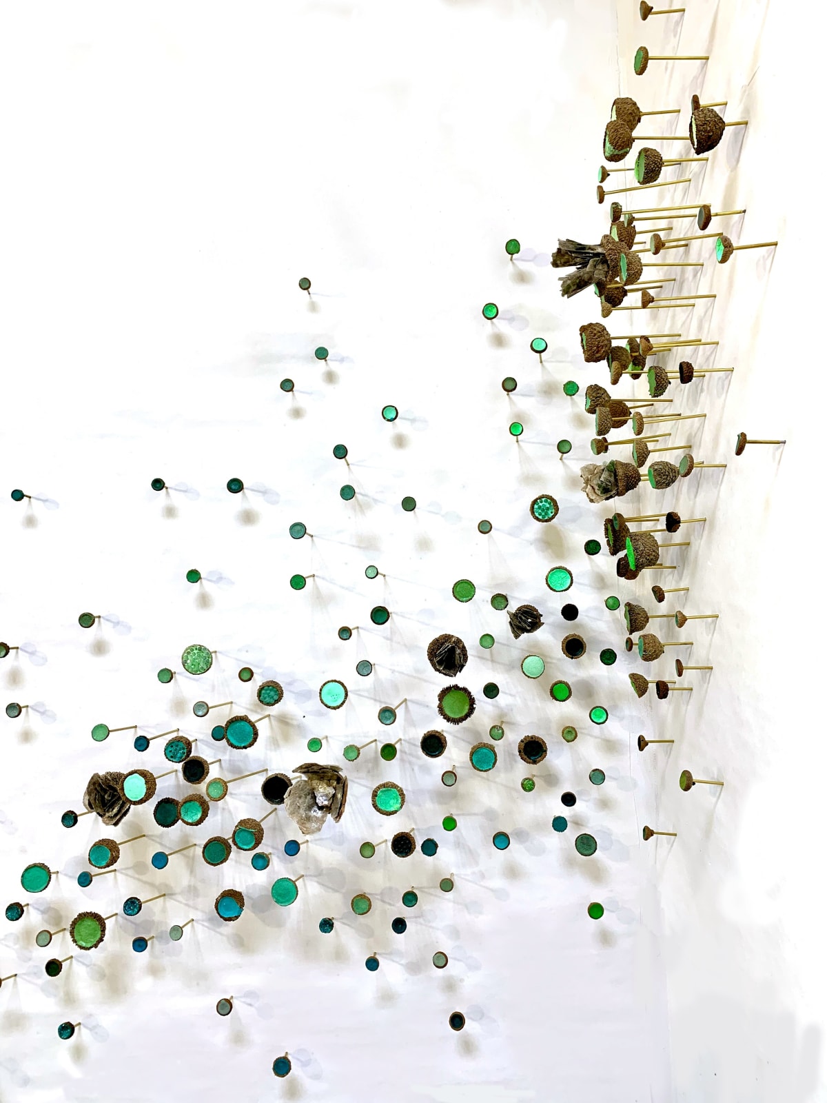 Julie Maren, Aquatic Garden, 2024