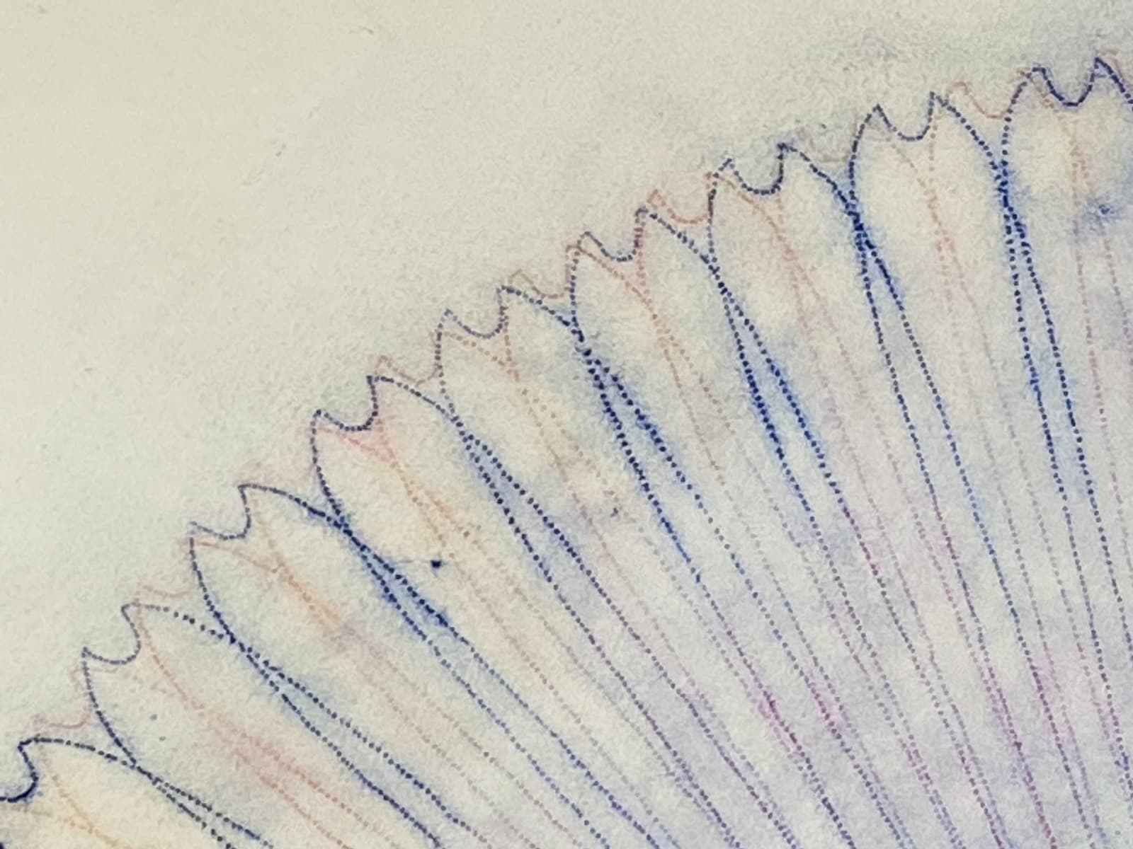 Mary Judge, Primavera Pop 23, 2022