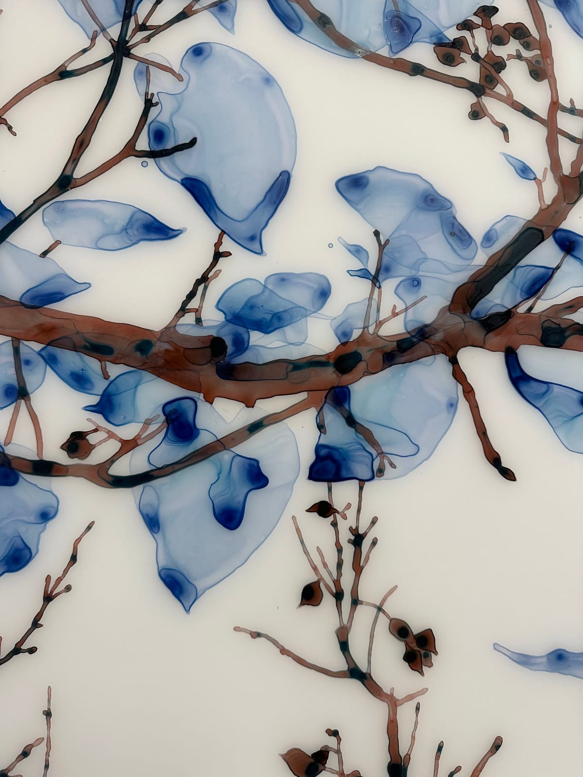 Jackie Battenfield, Unclouded cs1, 2022