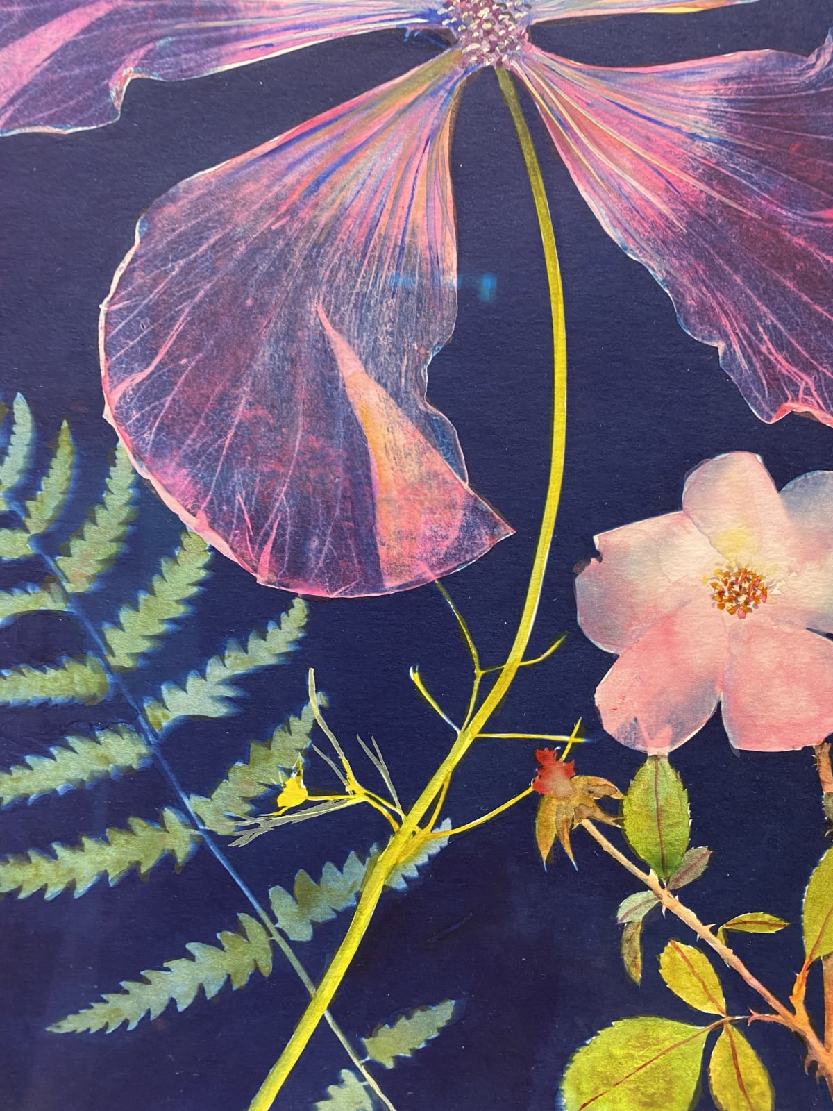 Julia Whitney Barnes, Cyanotype Painting (Hibiscus, Fern, Rose), 2020-2021