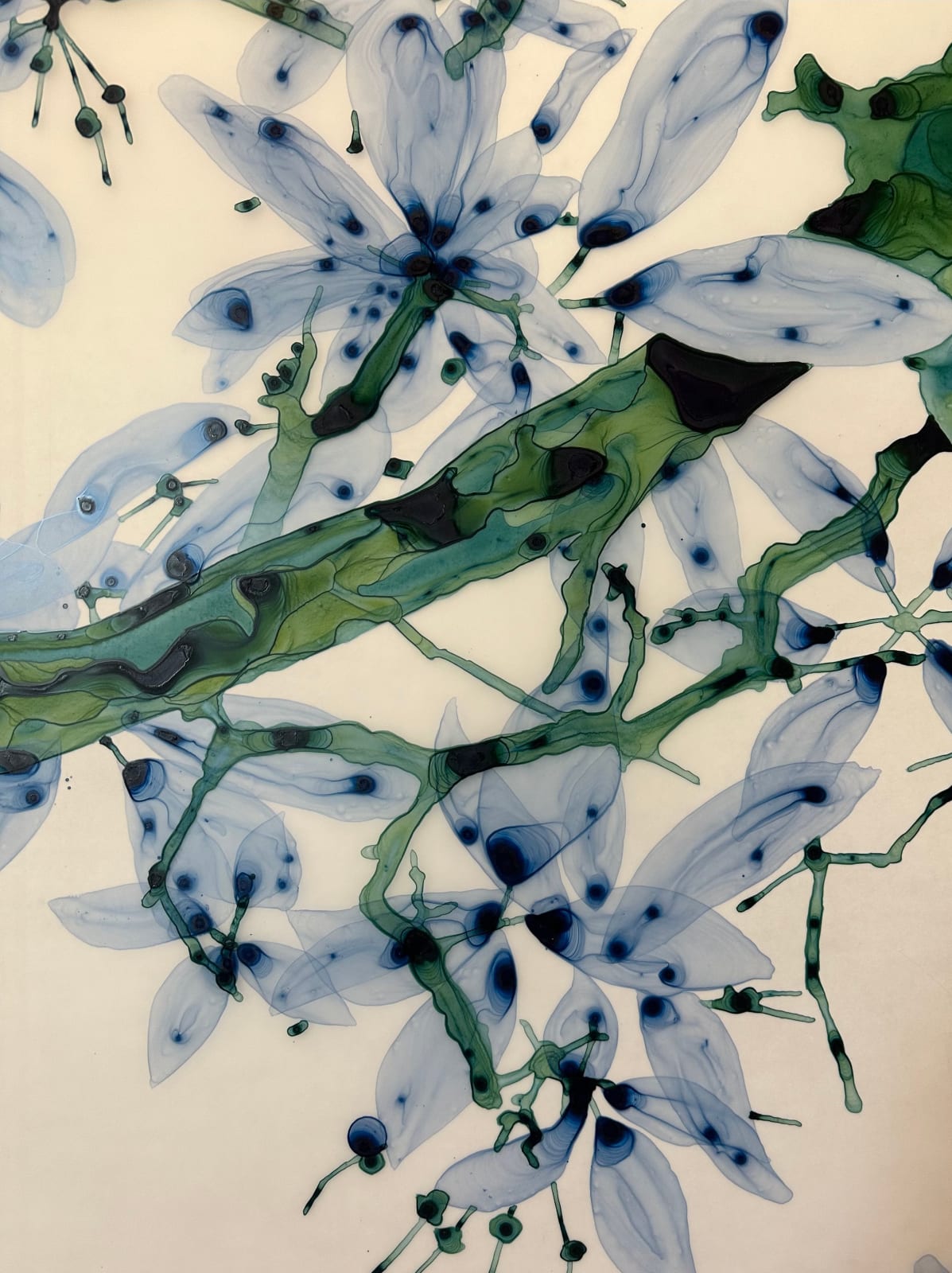 Jackie Battenfield, Perse Cs2, 2023