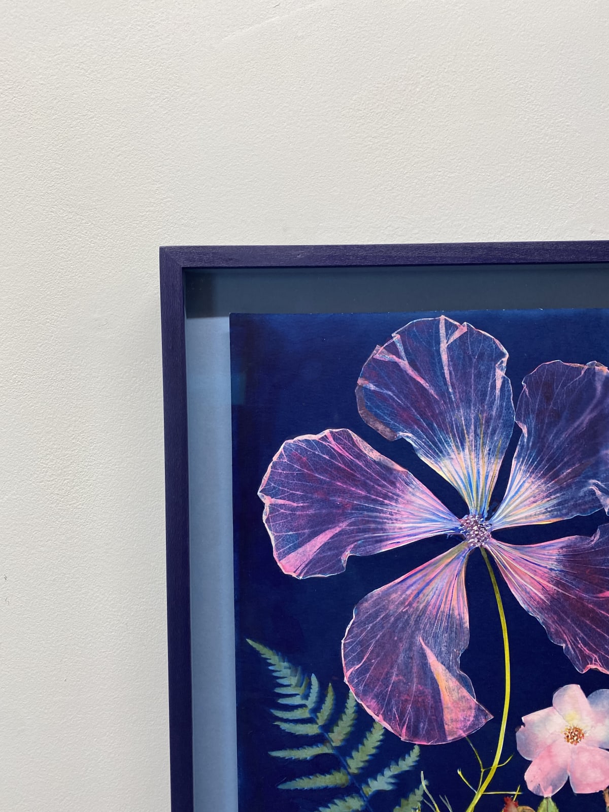 Julia Whitney Barnes, Cyanotype Painting (Hibiscus, Fern, Rose), 2020-2021