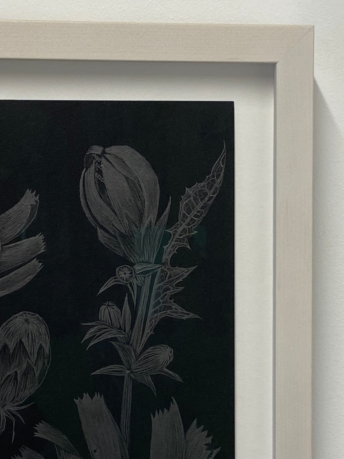 Margot Glass, Chicory 2, 2022