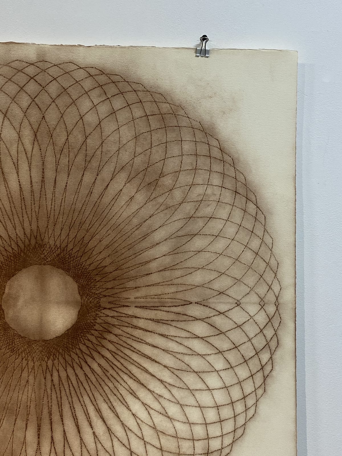 Mary Judge, Exotic Hex Series, 12/1, 2006