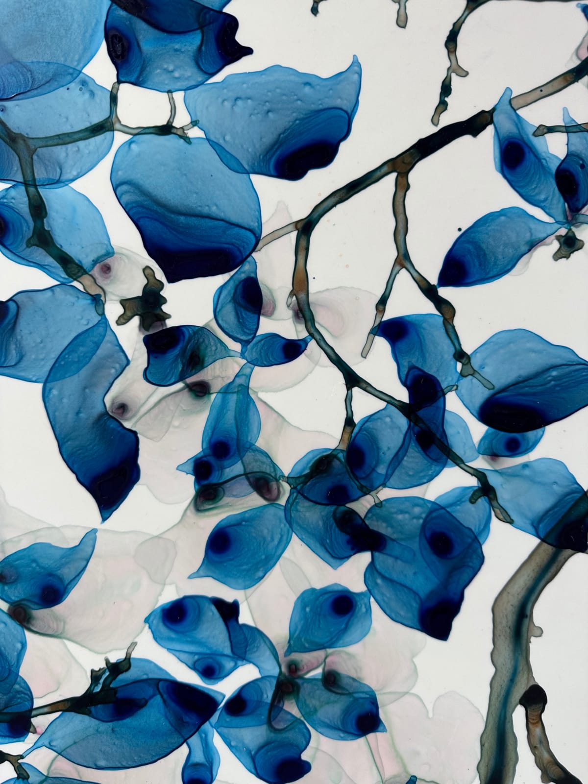 Jackie Battenfield, Sweet Ballad, 2024