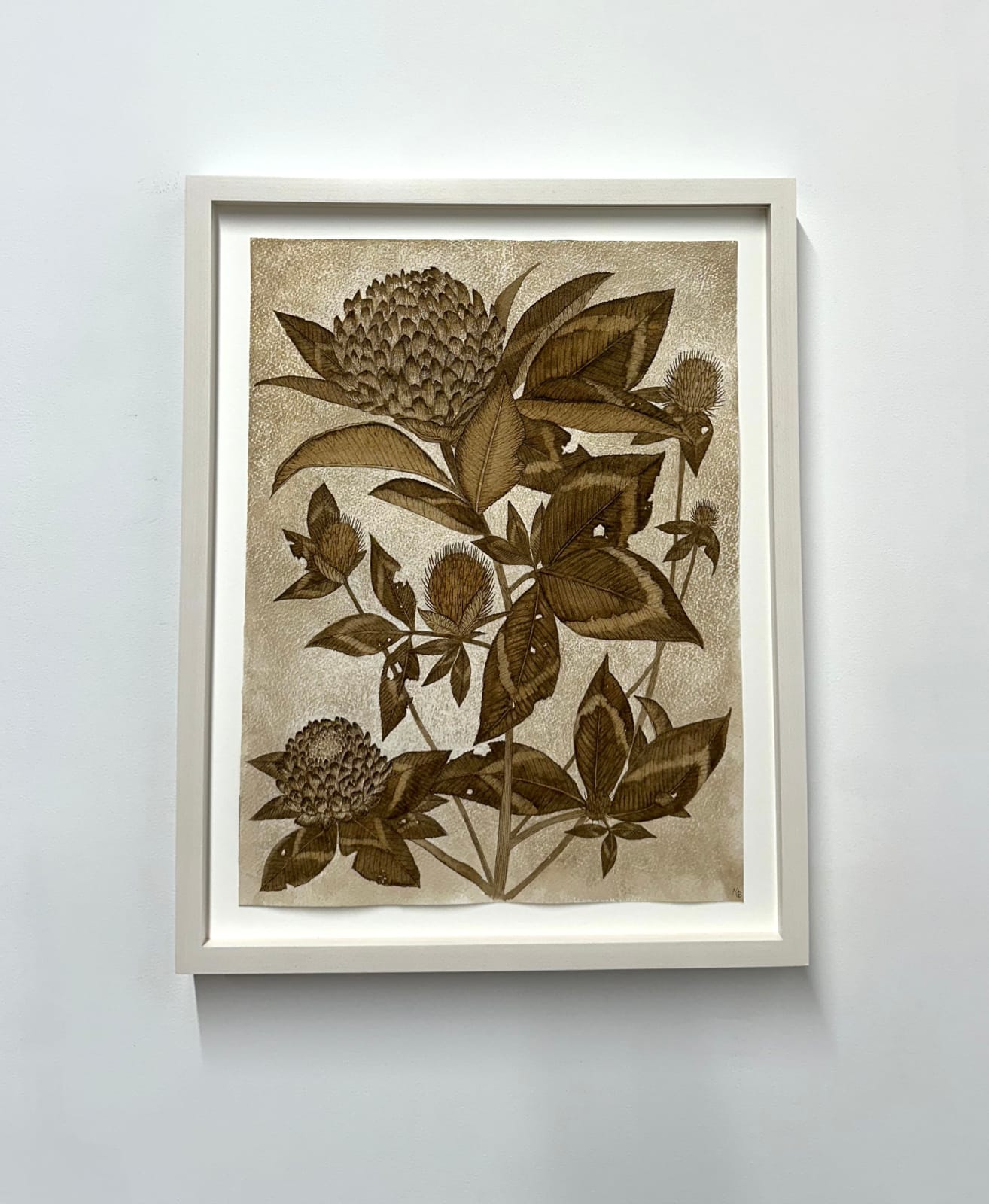 Margot Glass, Red Clover, 2024