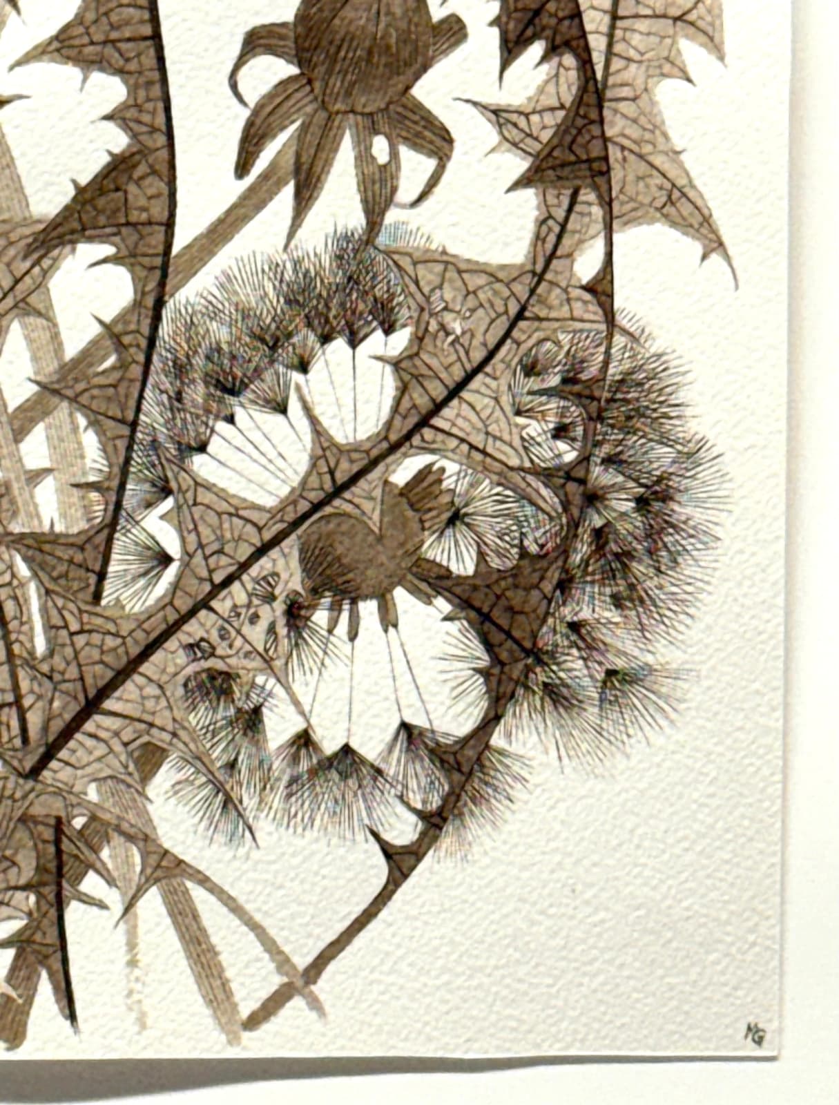 Margot Glass, Three Dandelions, 2025