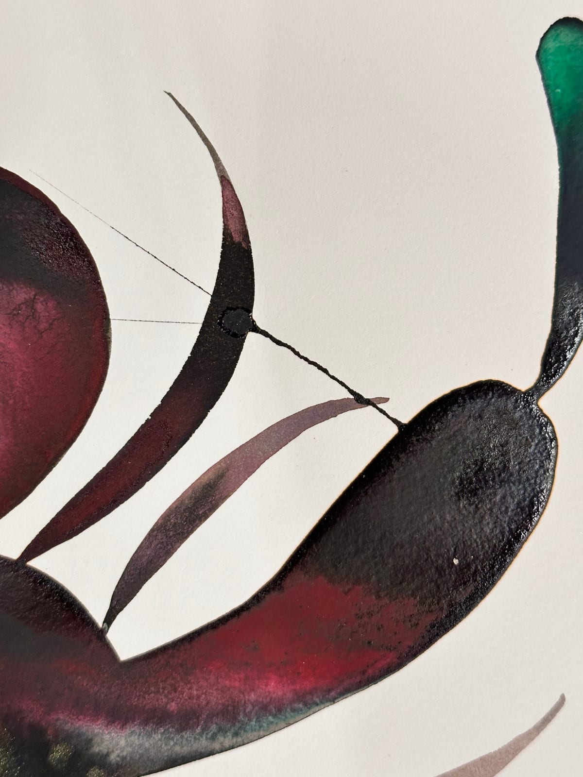 June Glasson, Delights 125, 2024