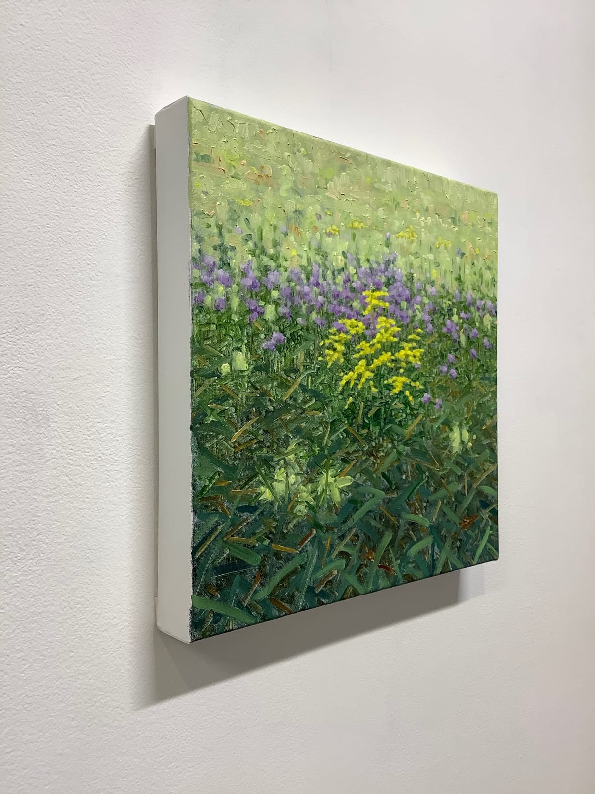 Thomas Sarrantonio, Bergamot and Goldenrod, 2019