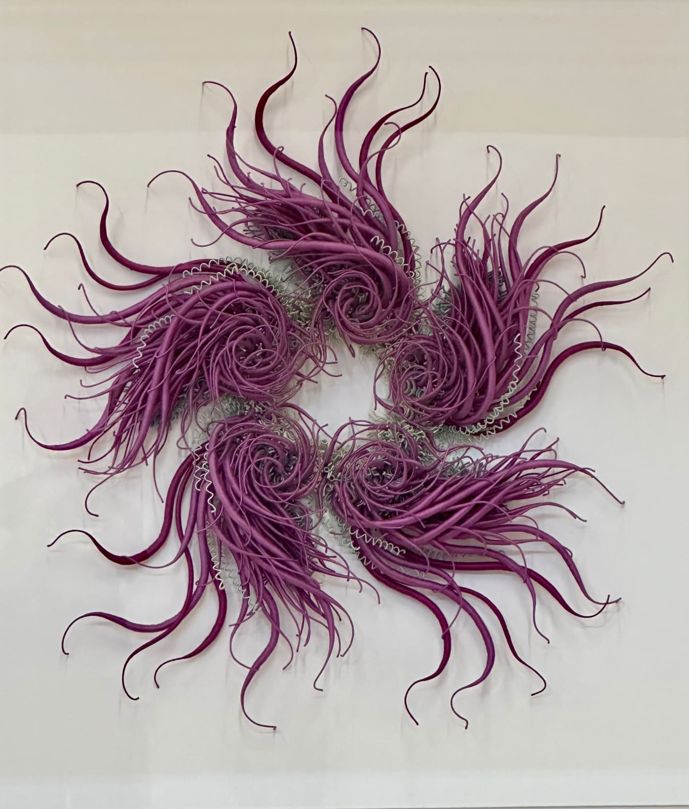 Catherine Latson, Specimen #21, 2020