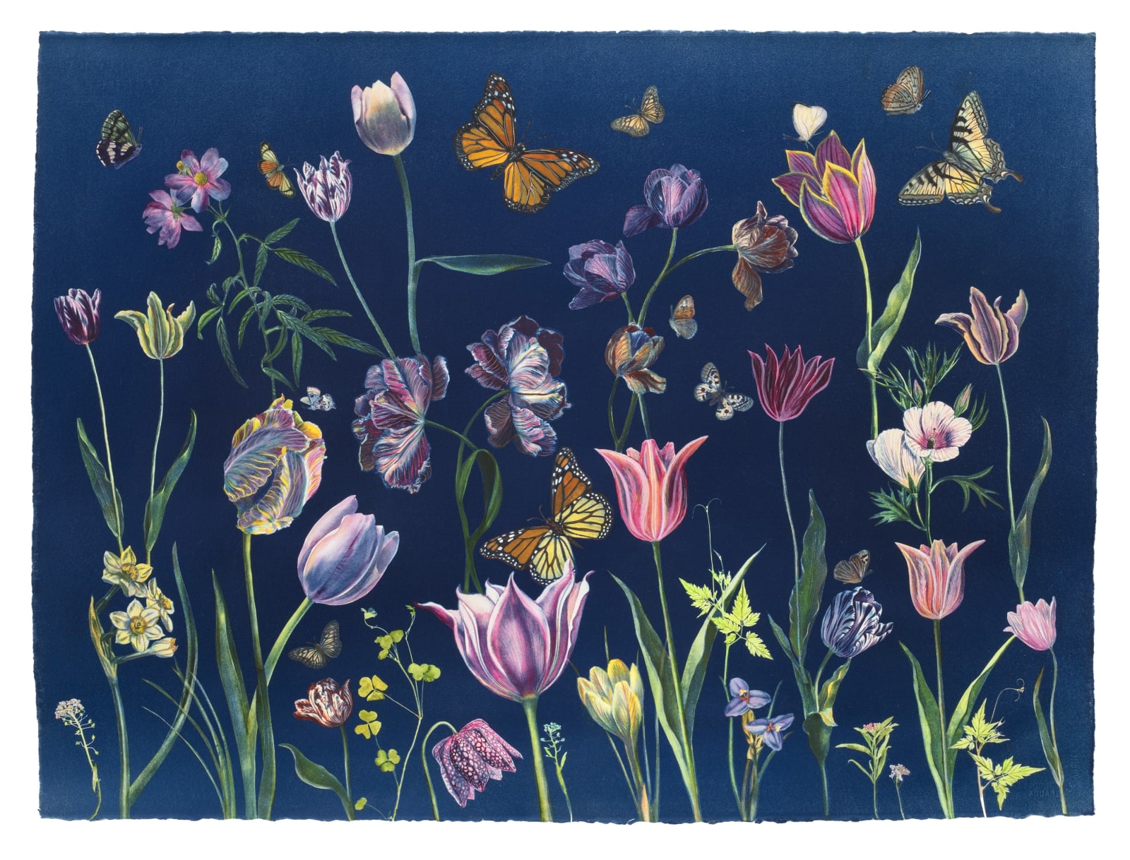 Julia Whitney Barnes, Cyanotype Painting (Tulips, Daffodils, Crocus, Pollinators, etc.), 2021