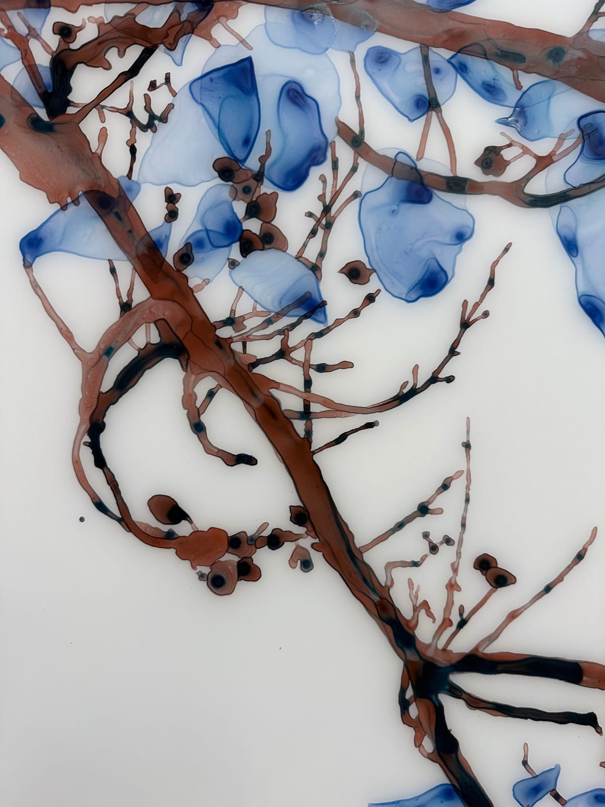Jackie Battenfield, Unclouded cs1, 2022