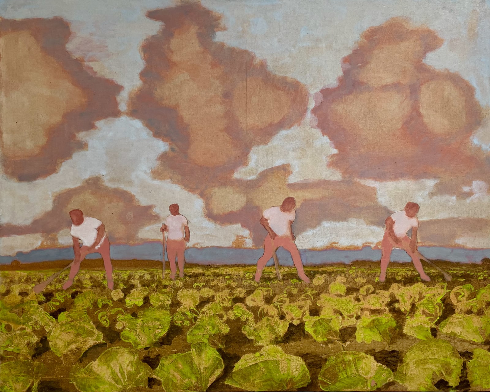 David Konigsberg, Cabbage Field, 2023