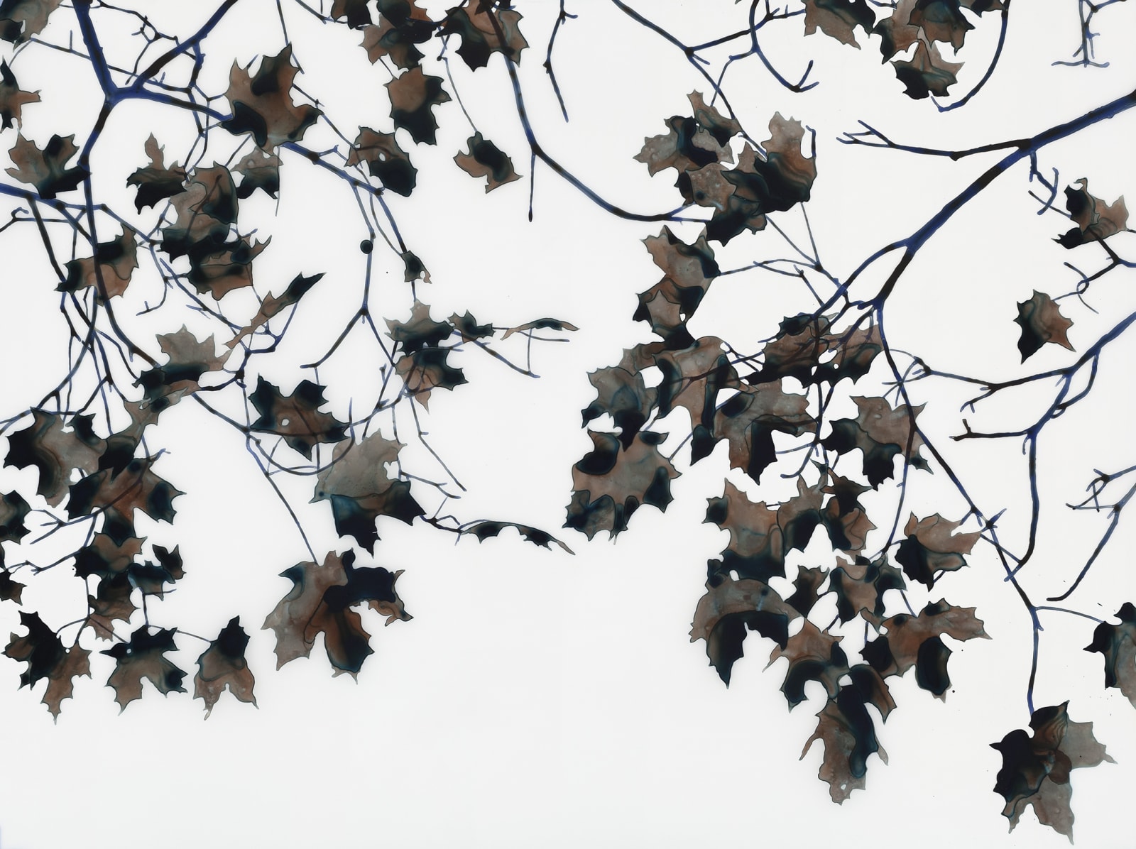 Jackie Battenfield, Night Light mcs, 2015