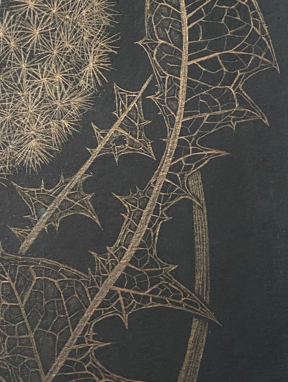 Margot Glass, Dandelion with Two Buds, 2022