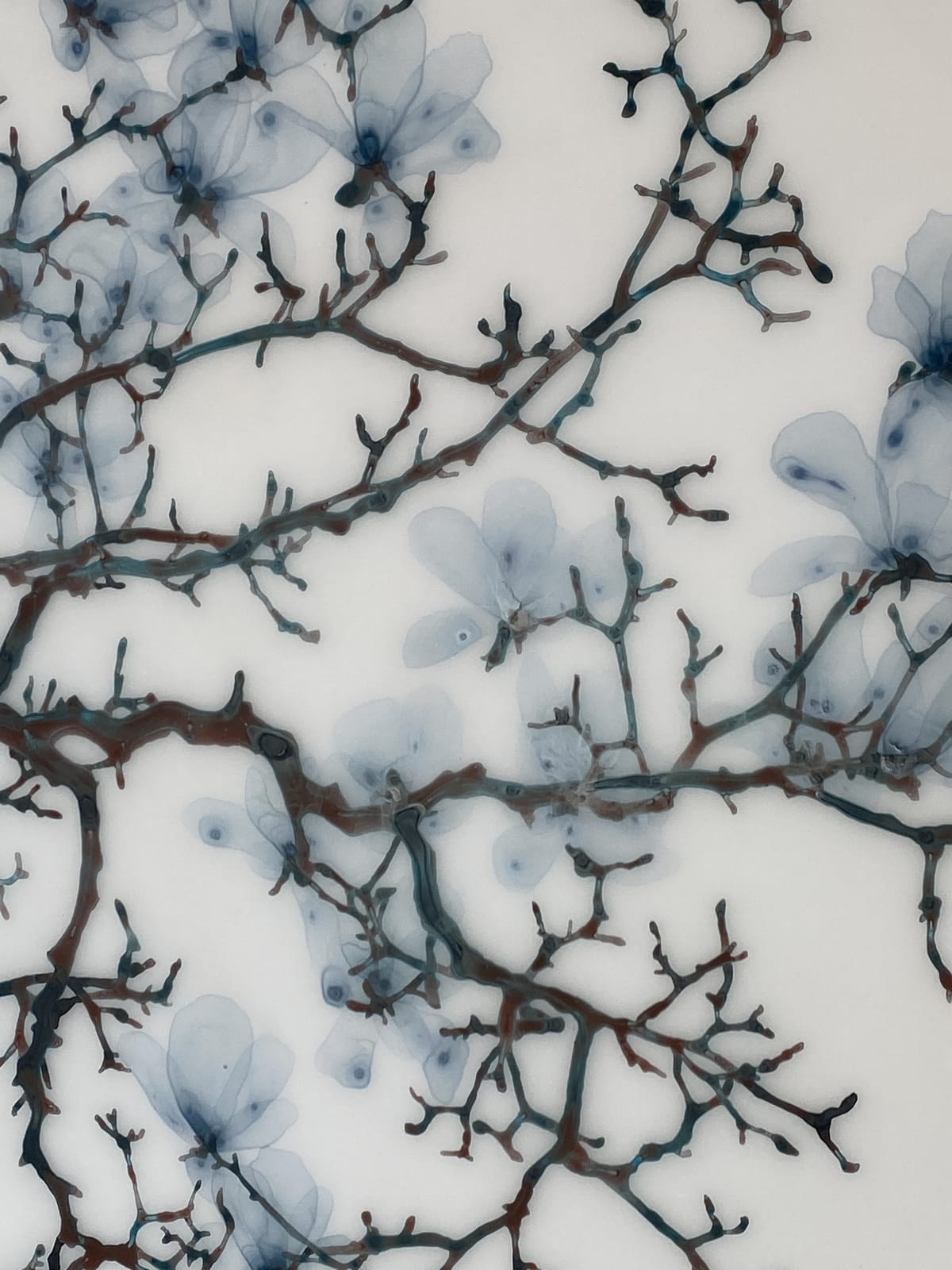 Jackie Battenfield, Spun Sugar, 2019