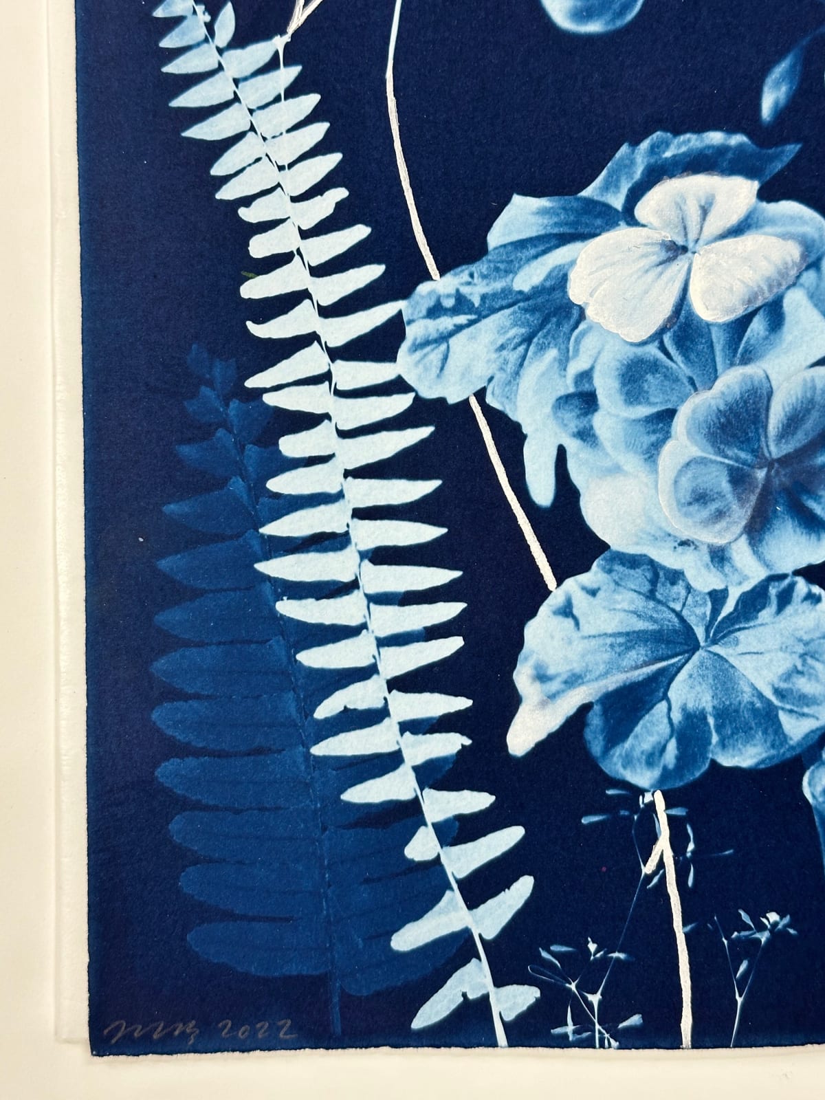 Julia Whitney Barnes, Nocturnal Nature (Geranium, Ferns, Hummingbird, etc.), 2021
