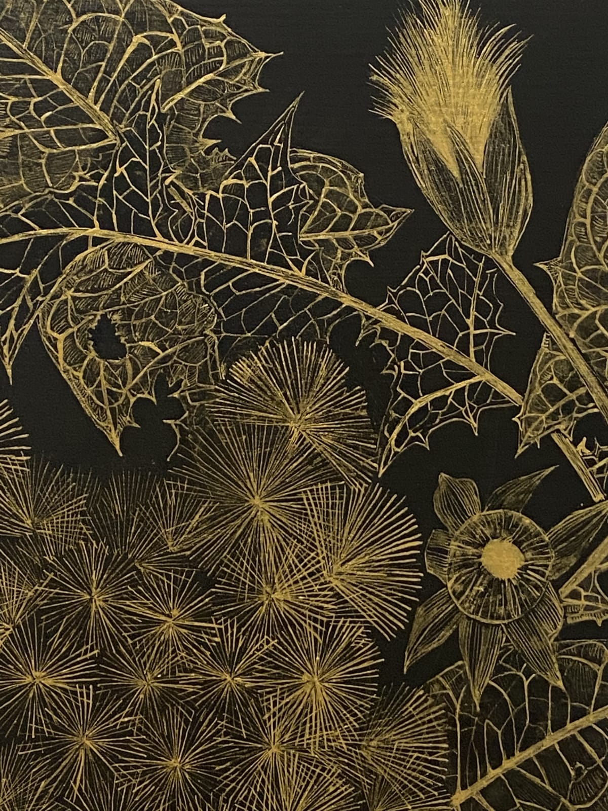 Margot Glass, Dandelion 2, 2021