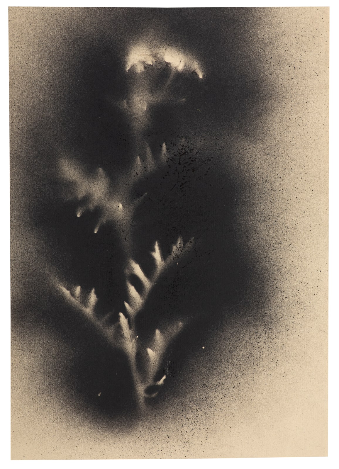 Kerry Lemon, UKRAÏNA 16