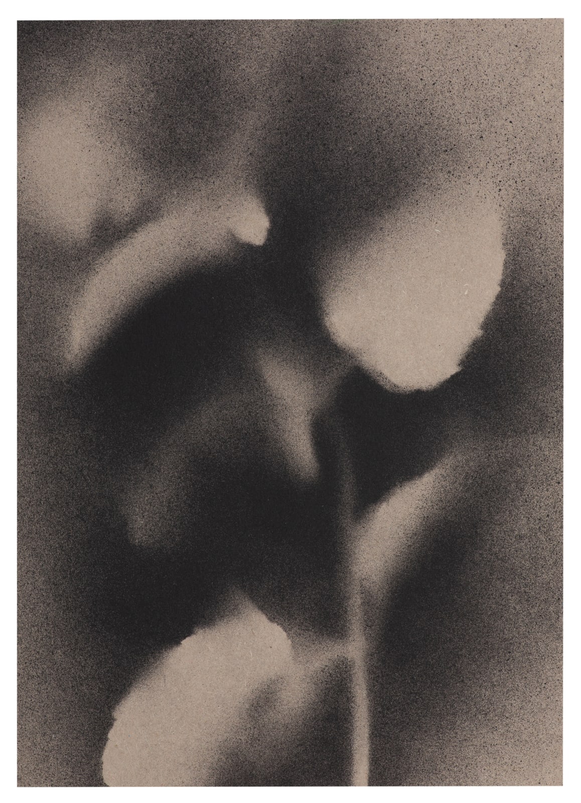 Kerry Lemon, UKRAÏNA 18