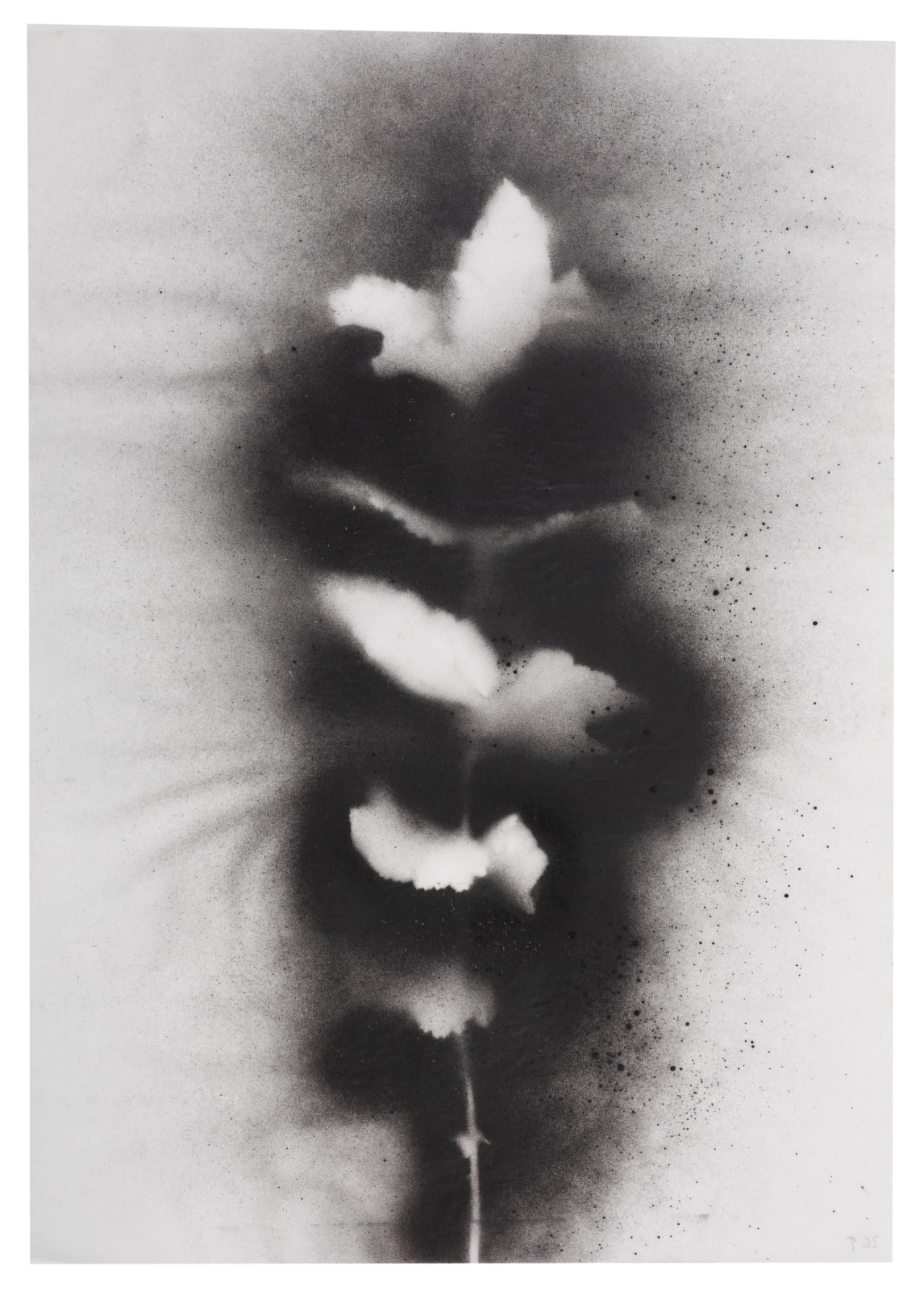 Kerry Lemon, UKRAÏNA 26