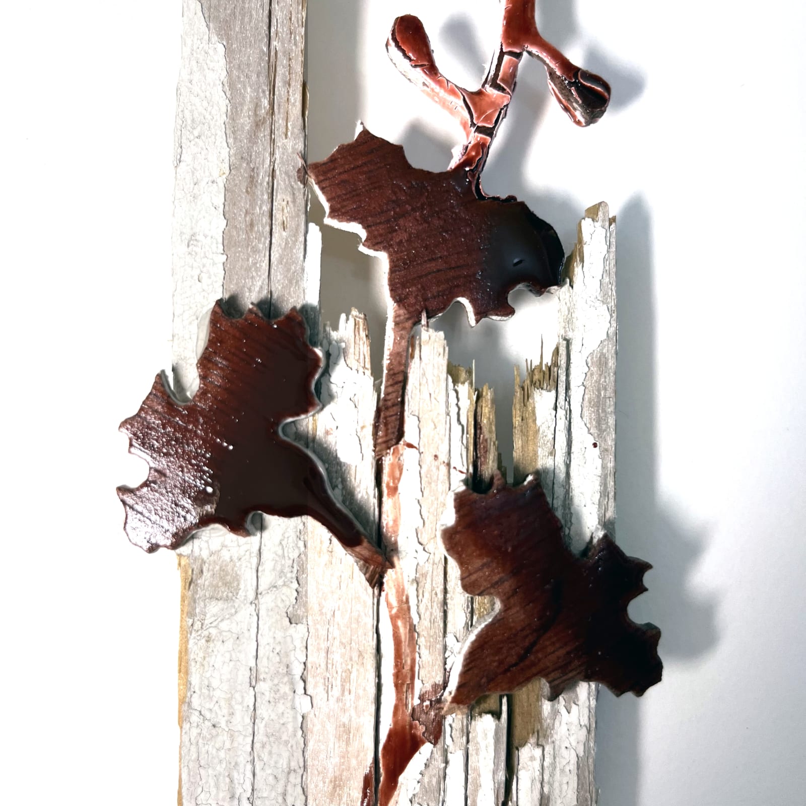 Kerry Lemon, Counterfeit Botany