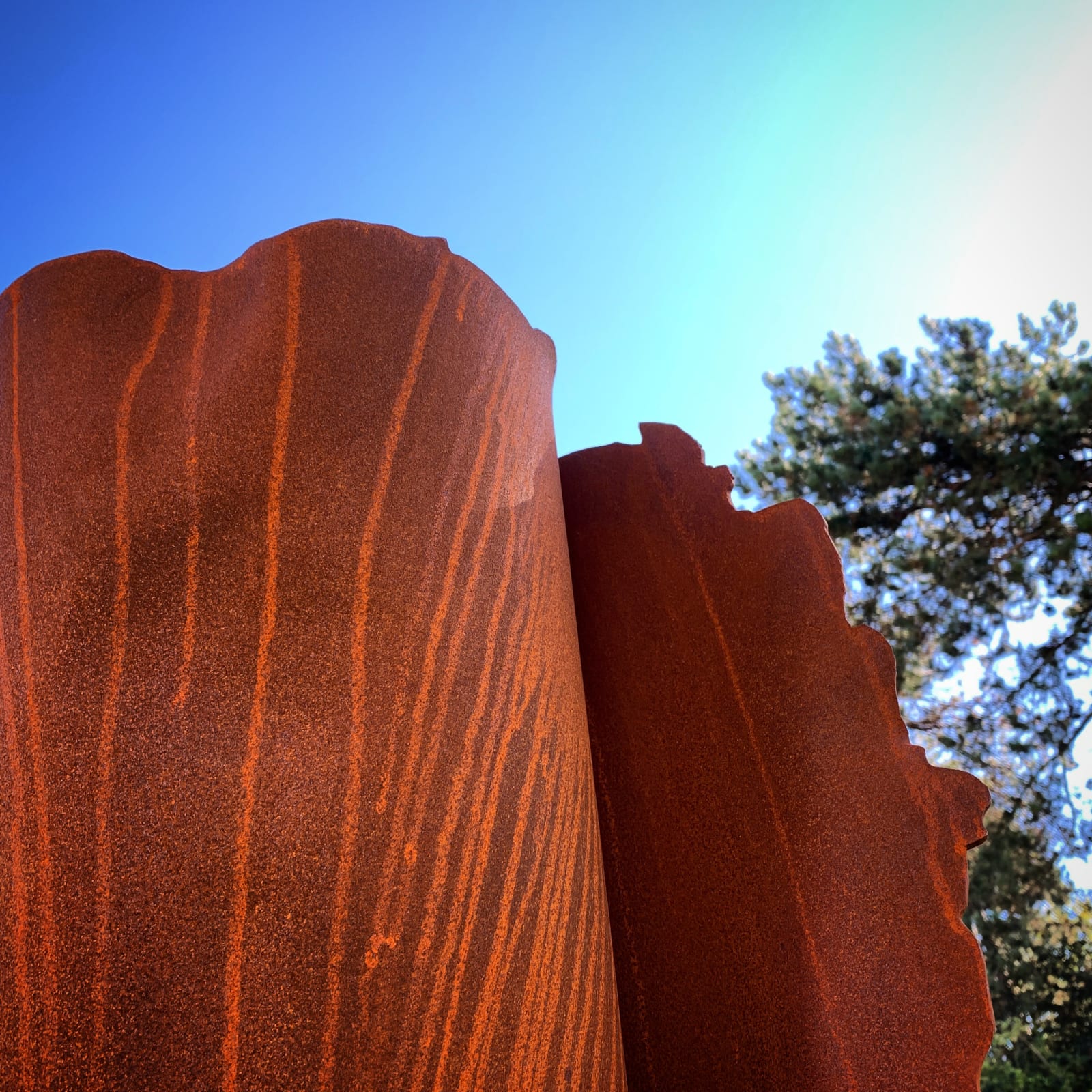 Kerry Lemon, Cotton Paper Sculpture