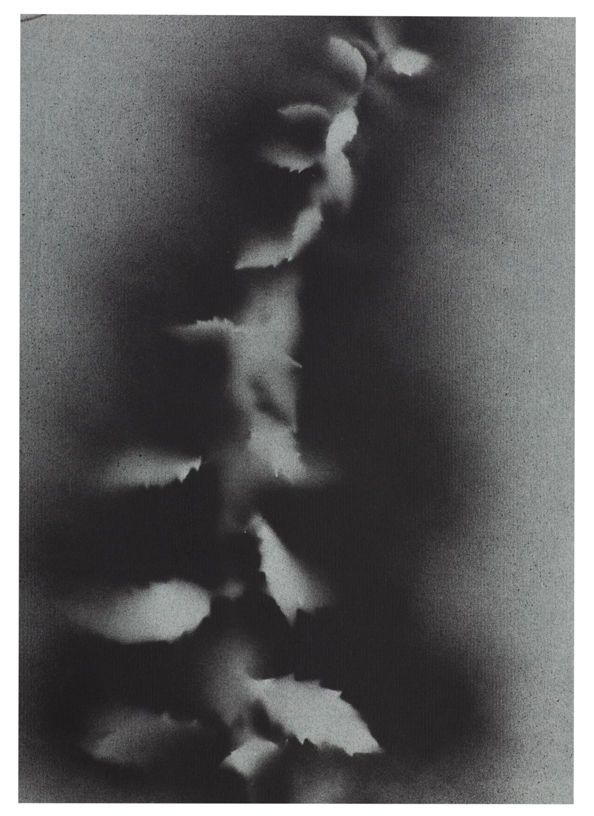 Kerry Lemon, UKRAÏNA 17