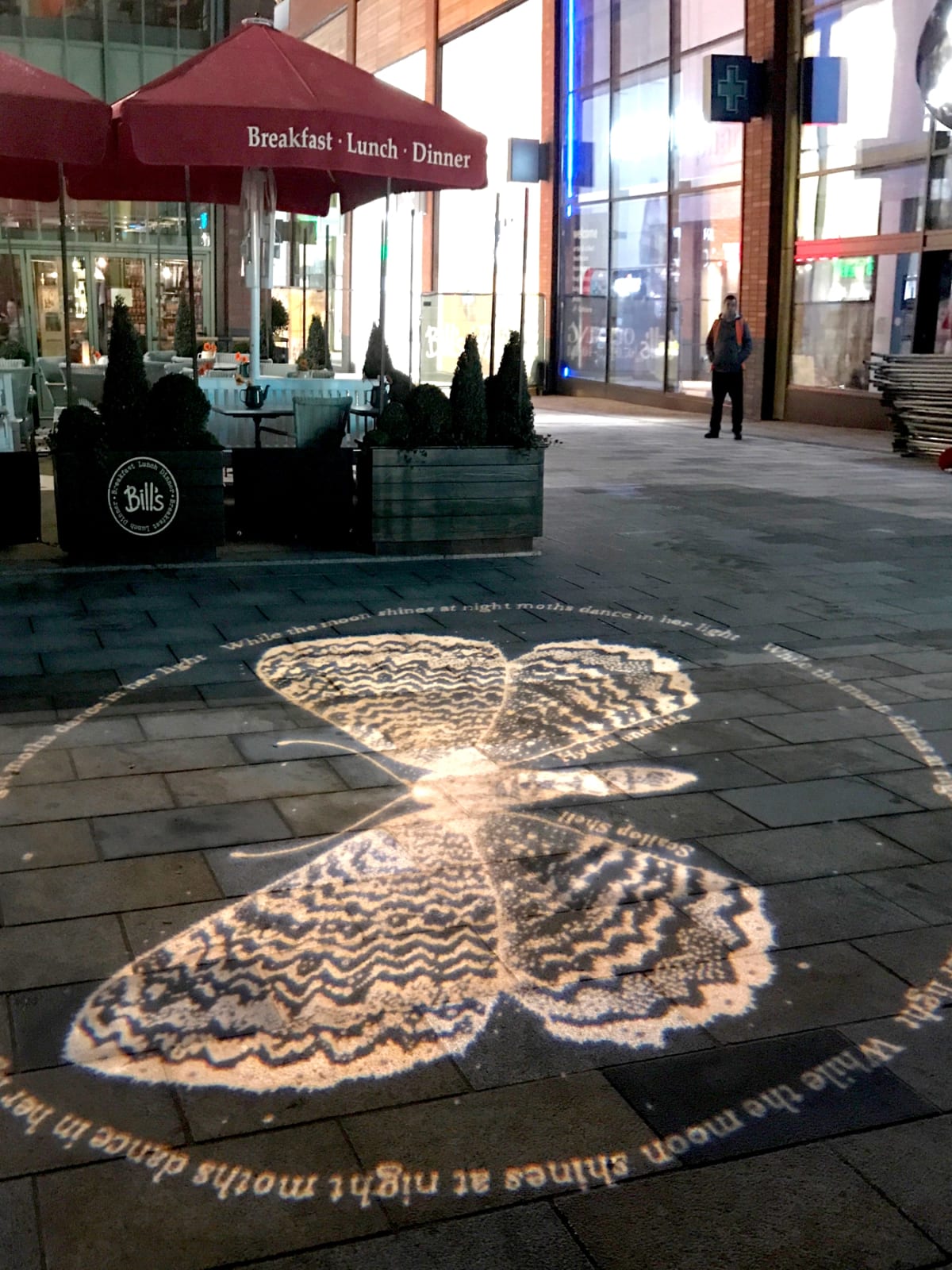 Kerry Lemon, Lepidoptera
