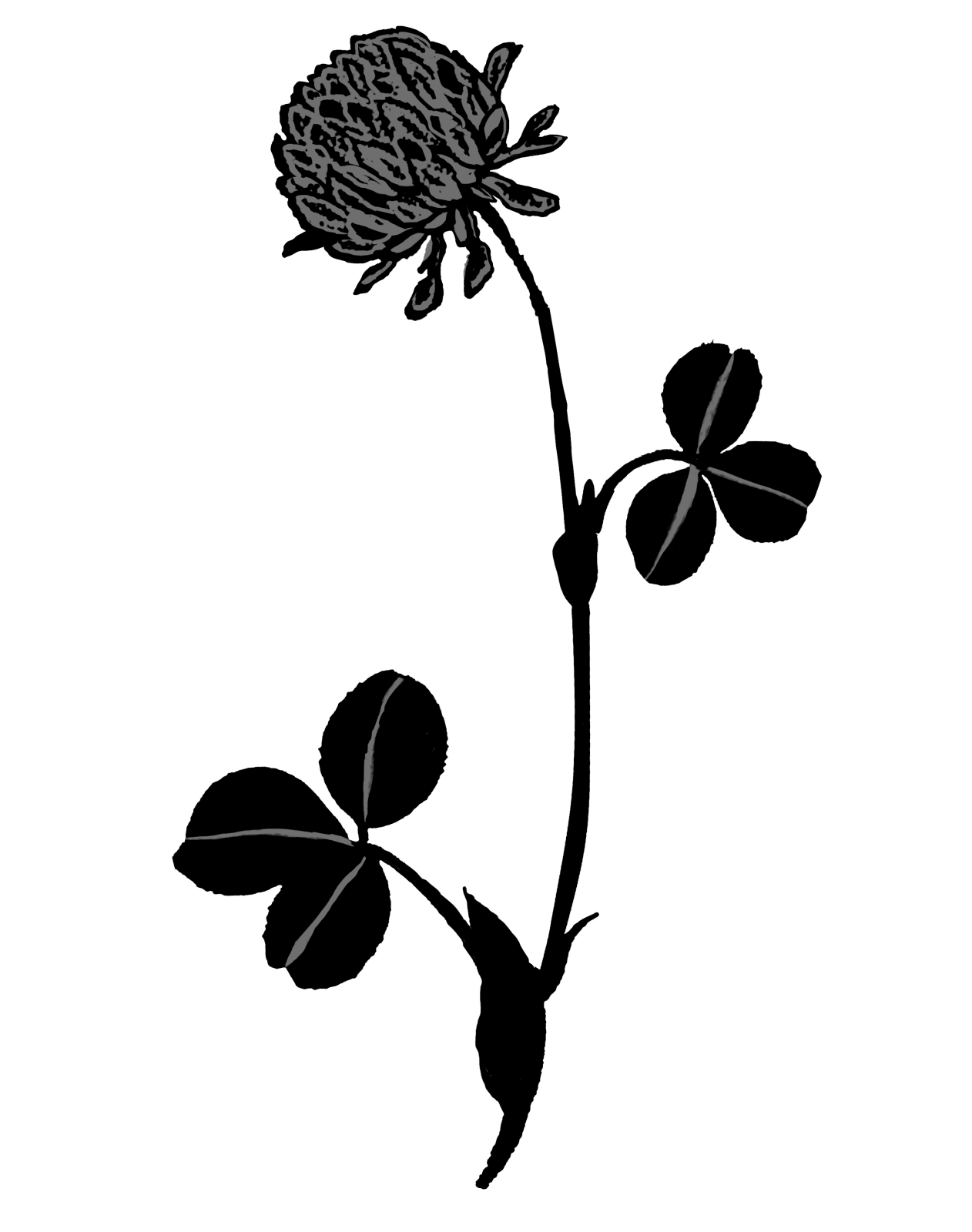 Kerry Lemon, Clover