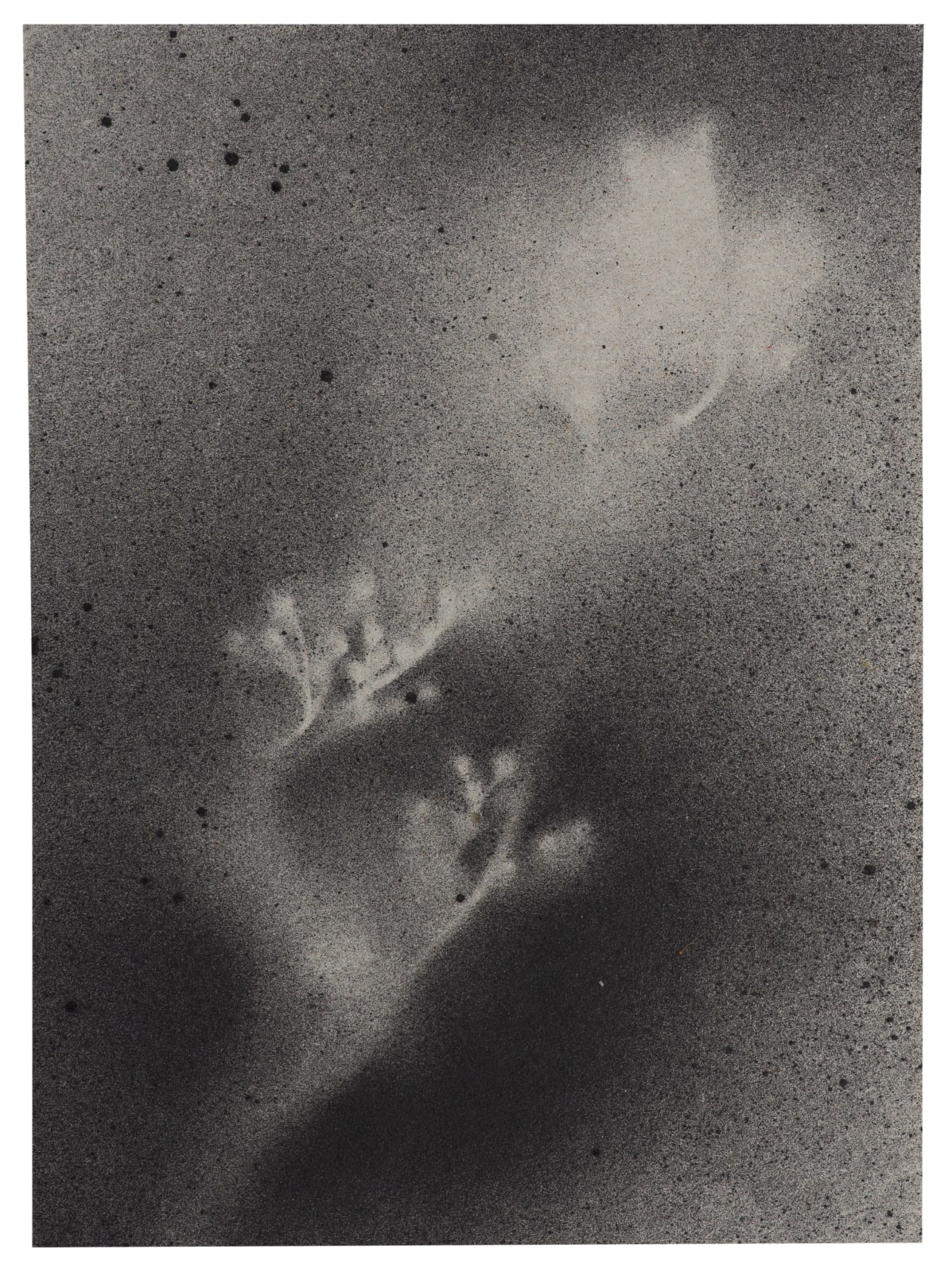 Kerry Lemon, UKRAÏNA 25