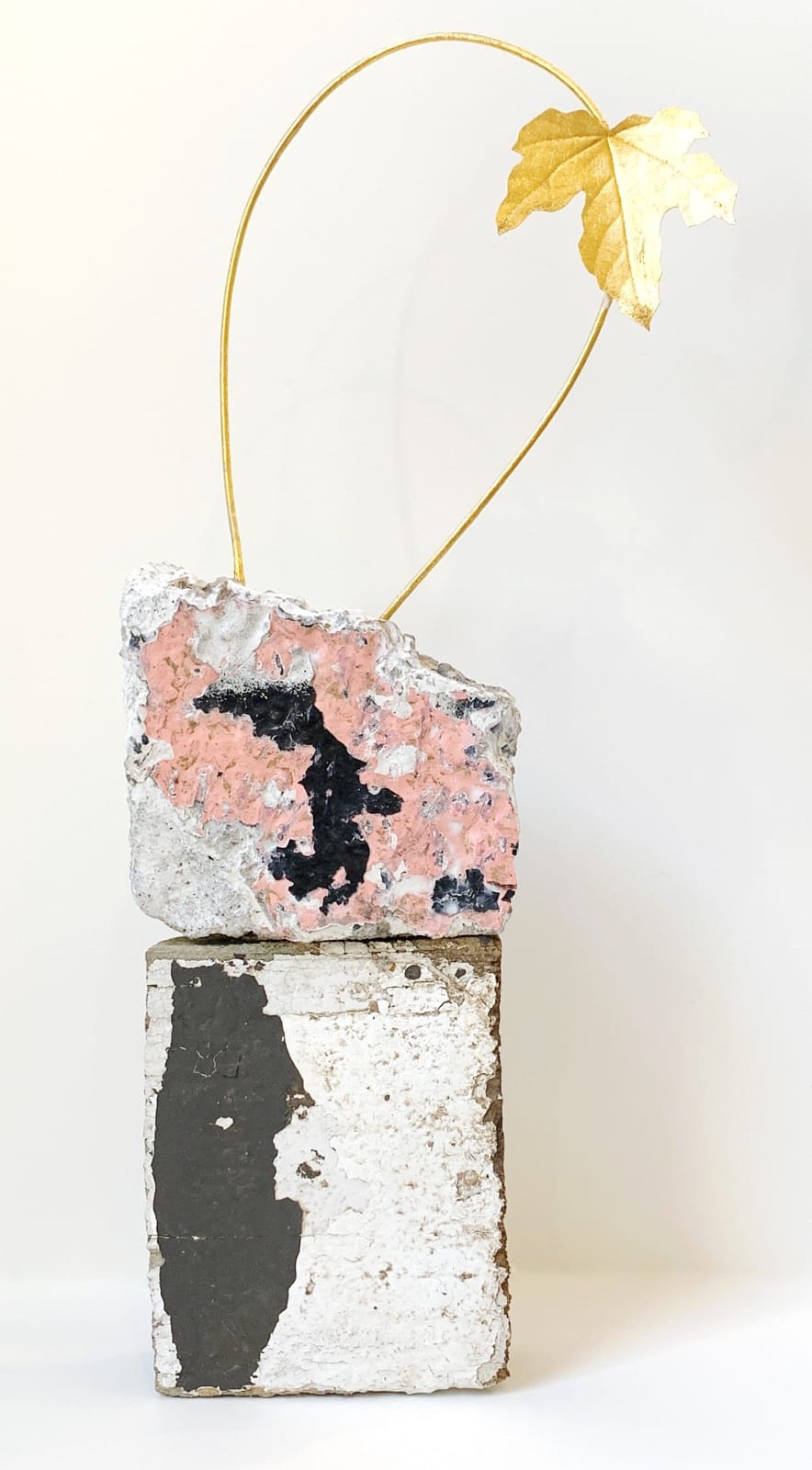 Kerry Lemon, Planted