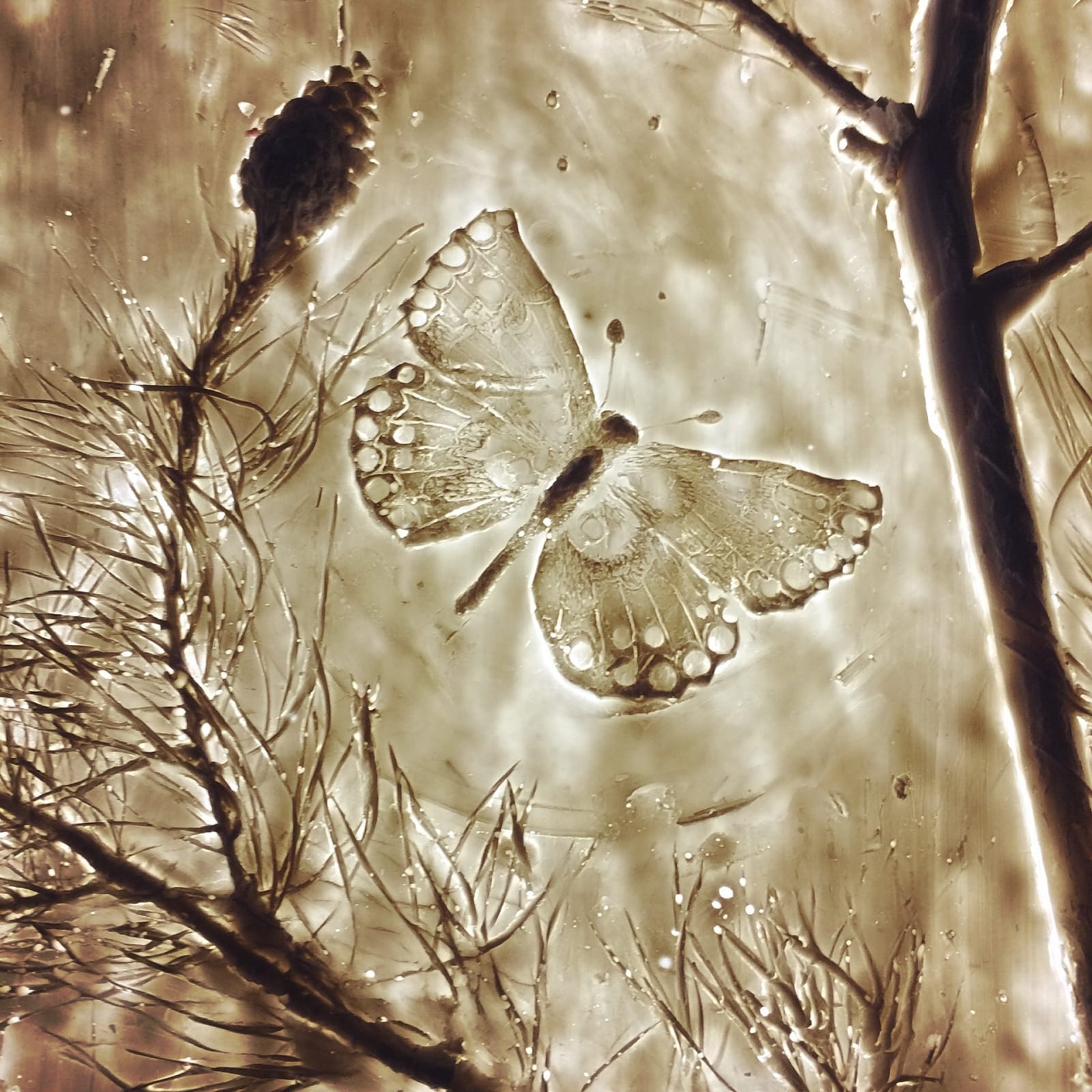 Kerry Lemon, Beacon