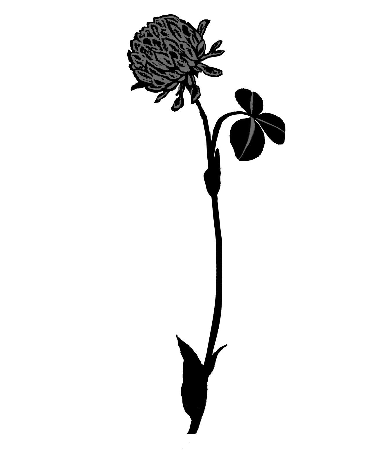 Kerry Lemon, Clover