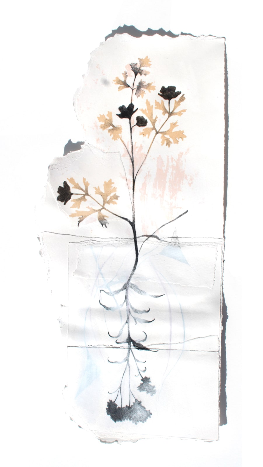 Kerry Lemon, Twinned