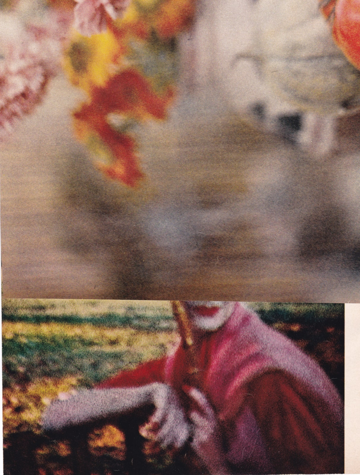 Audrey Guttman, Memory of a summer day, 2021
