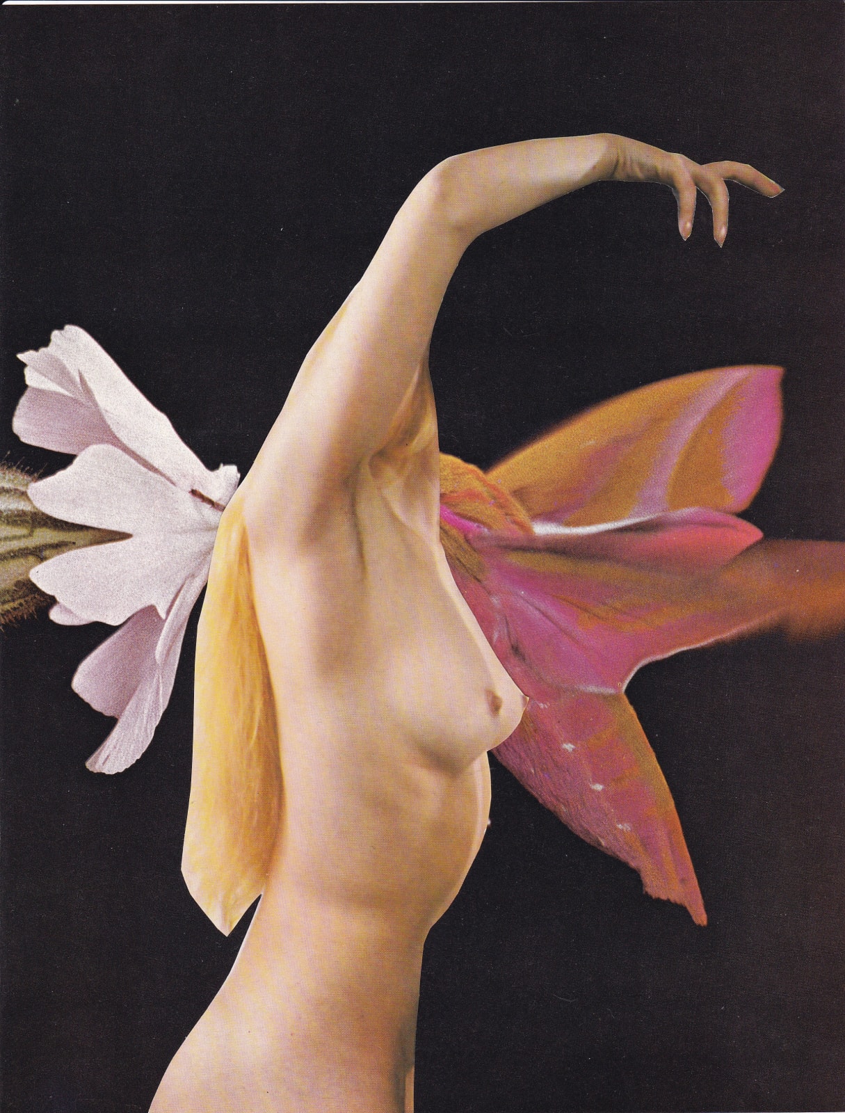 Audrey Guttman, Formes étranges engendrées par l'obscurité, 2021