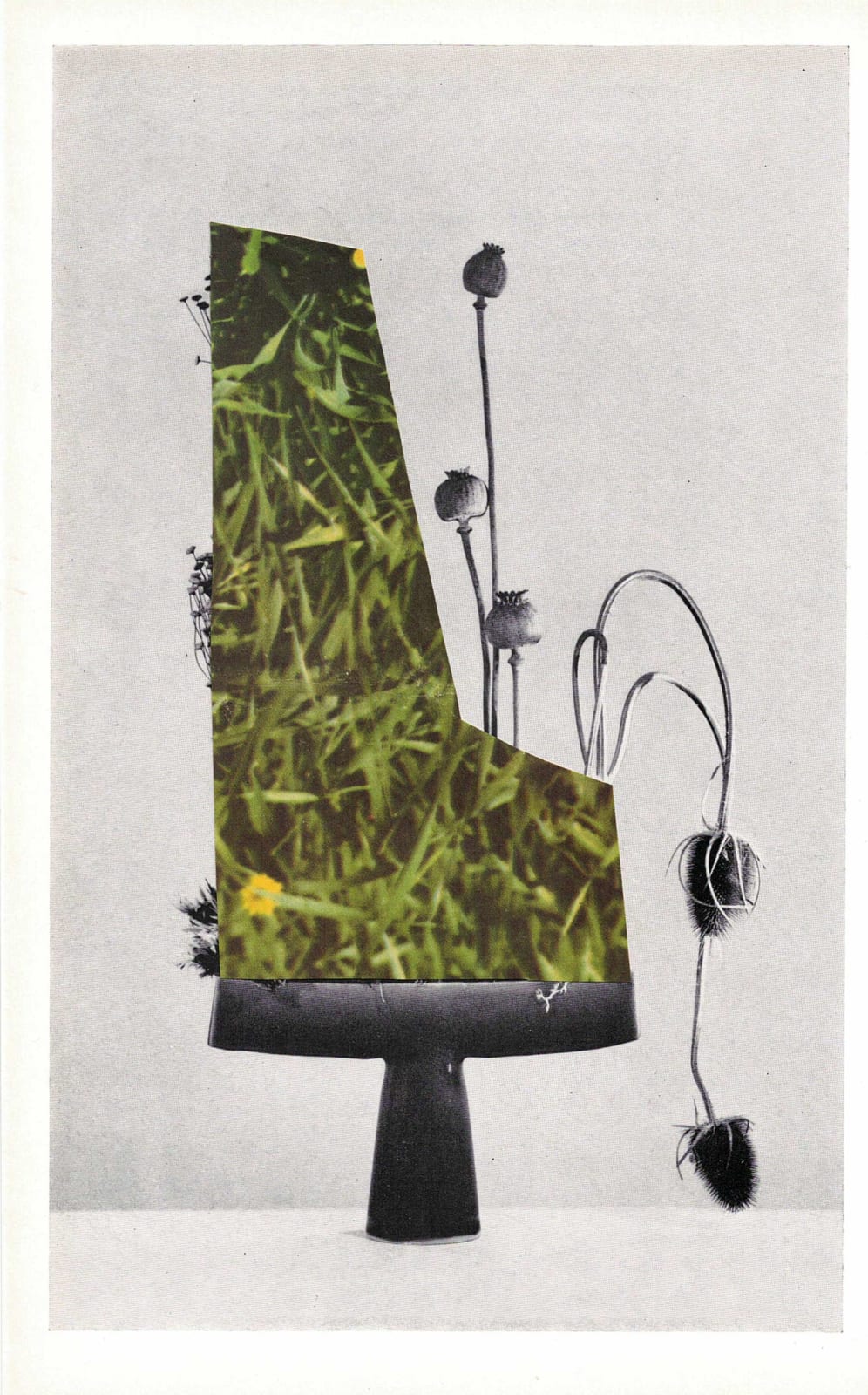 Audrey Guttman, Nature vs culture, 2020