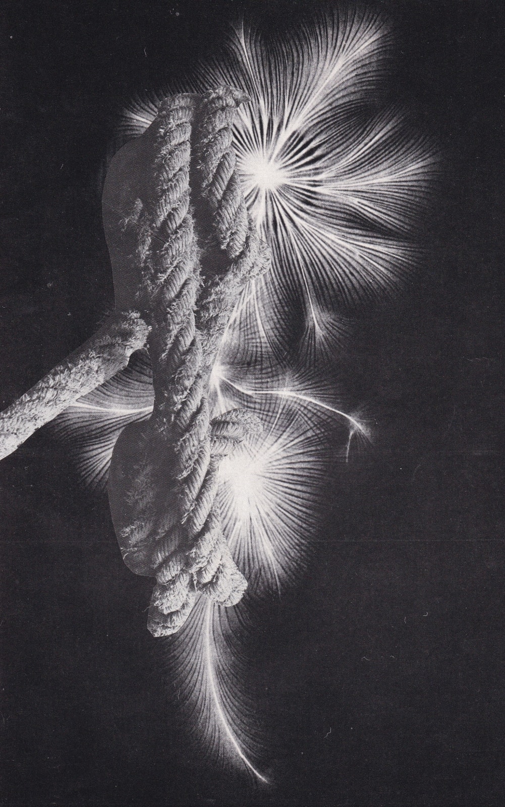 Audrey Guttman, Catch and release , 2021