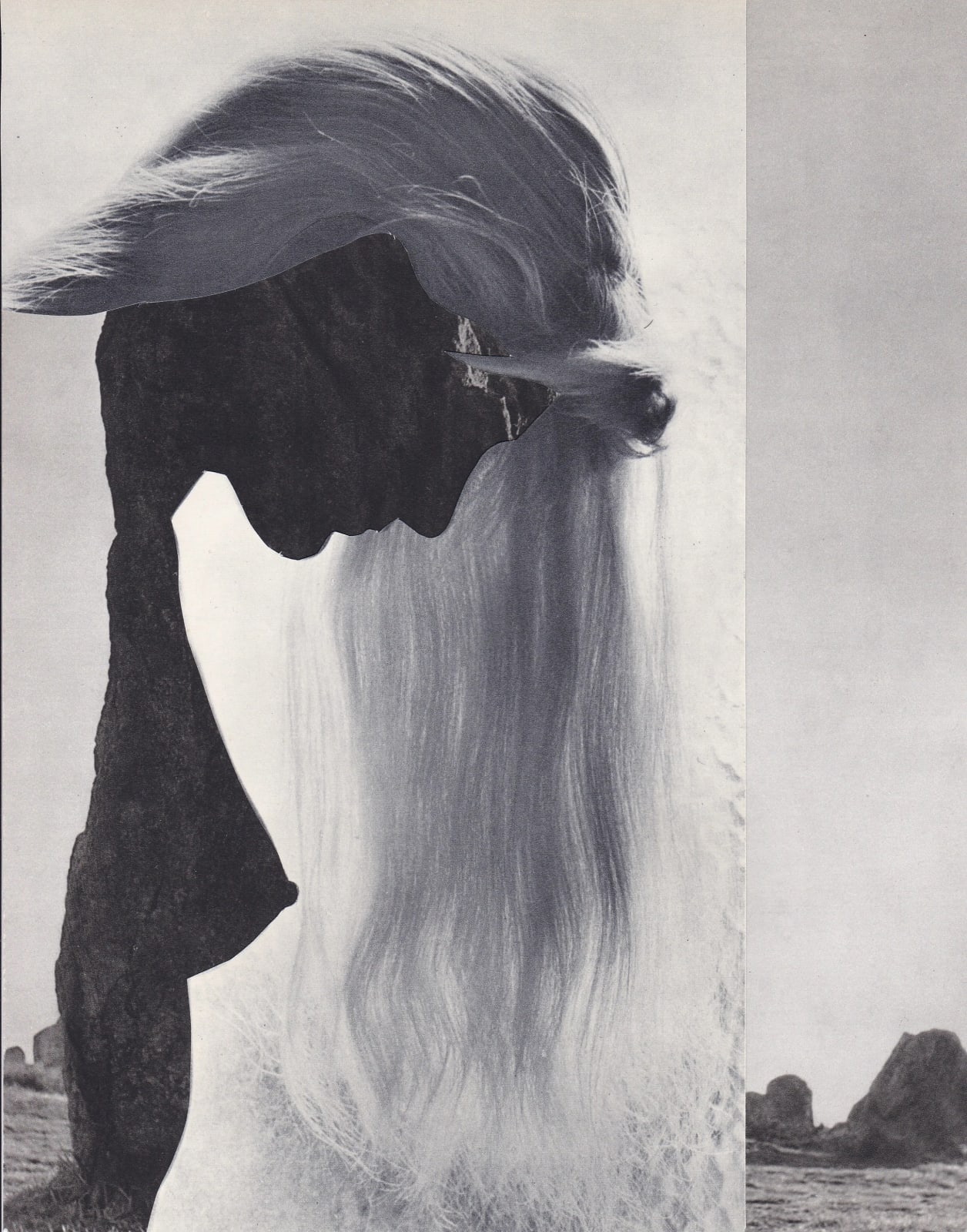 Audrey Guttman, Cheveux de roche, 2021