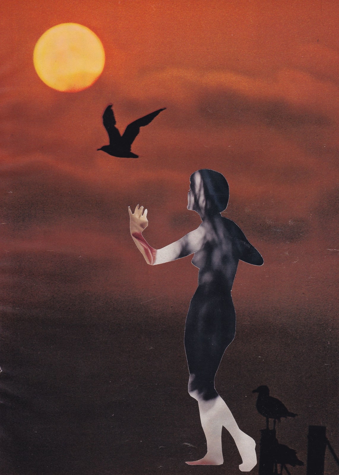 Audrey Guttman, Celui qui n'ose pas regarder le soleil en face ne sera jamais une étoile, 2021