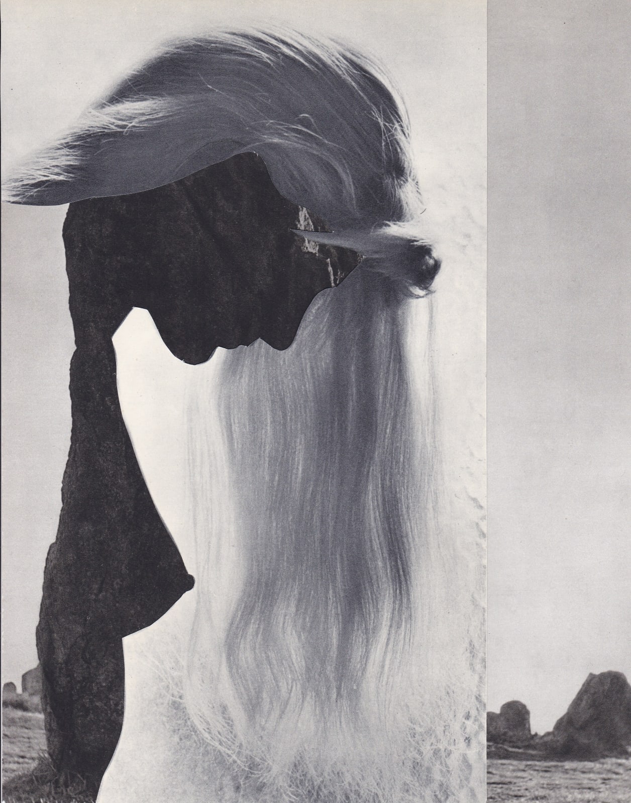 Audrey Guttman, Cheveux de roche, 2021